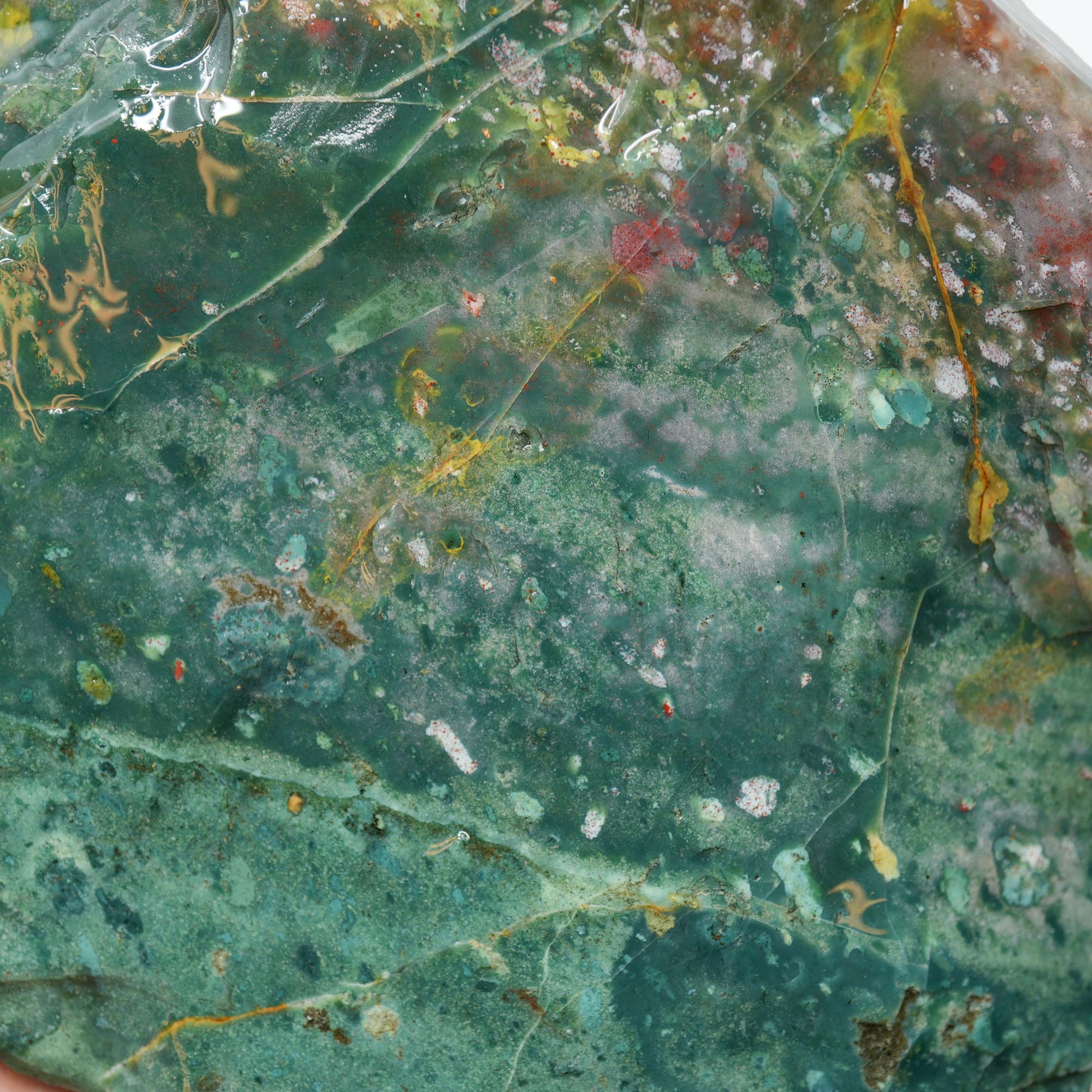 India Bloodstone Rough - Green Red Ocean Jasper-Like Dots Large Block