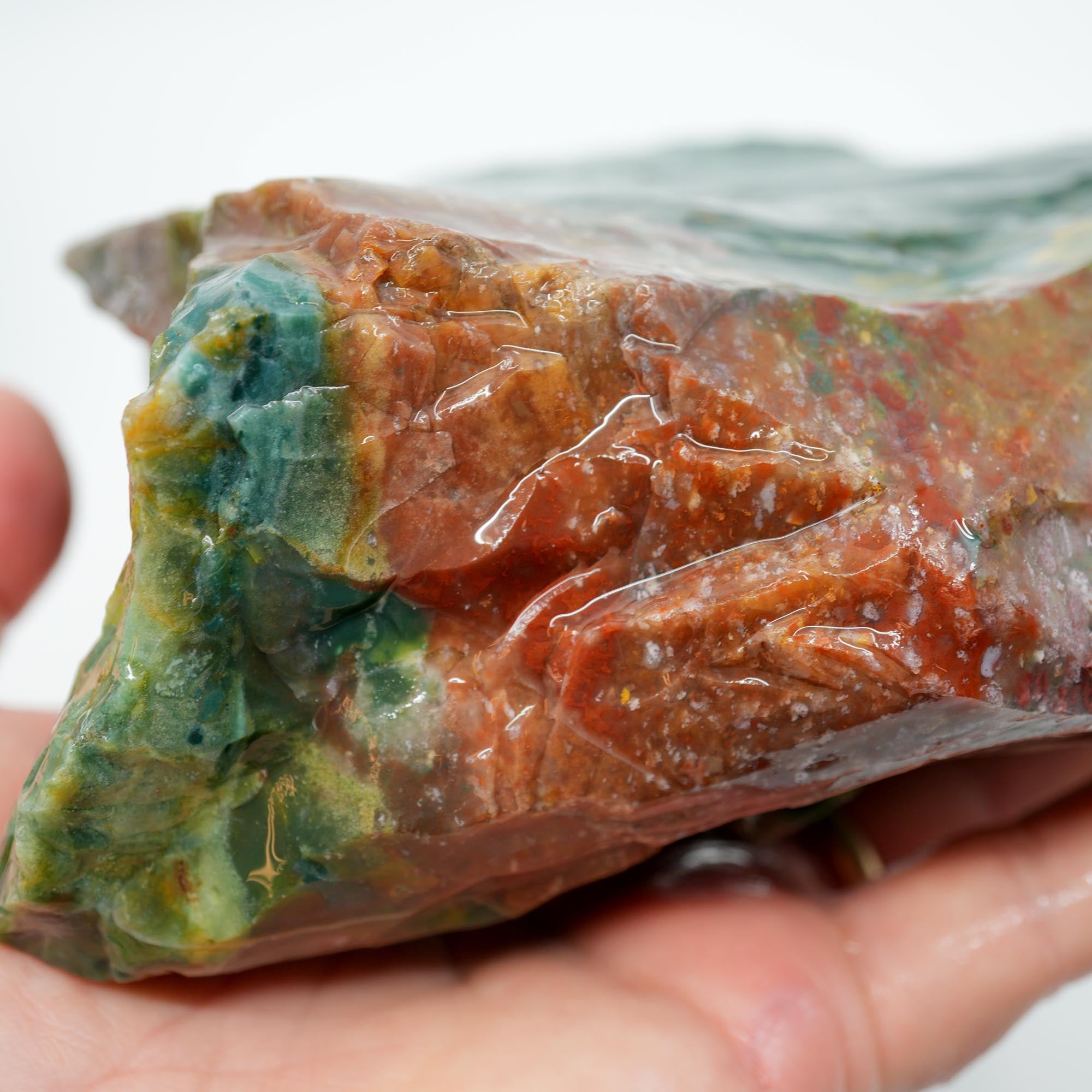 India Bloodstone Rough - Green Red Ocean Jasper-Like Dots Large Block