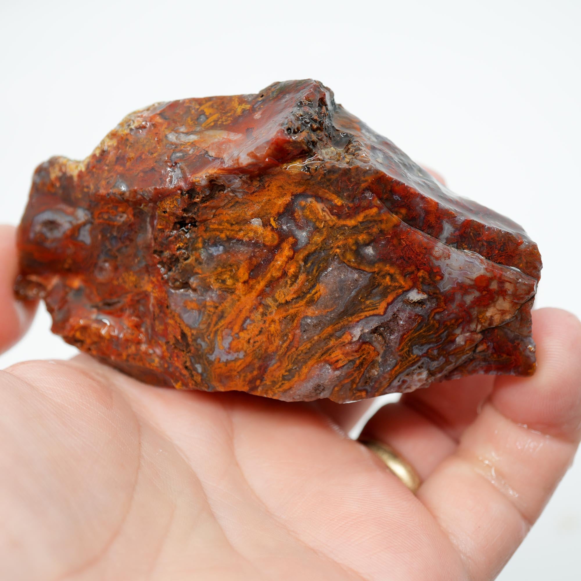 San Carlos Agate Rough - Bright Red Orange with Stick Formation Moss