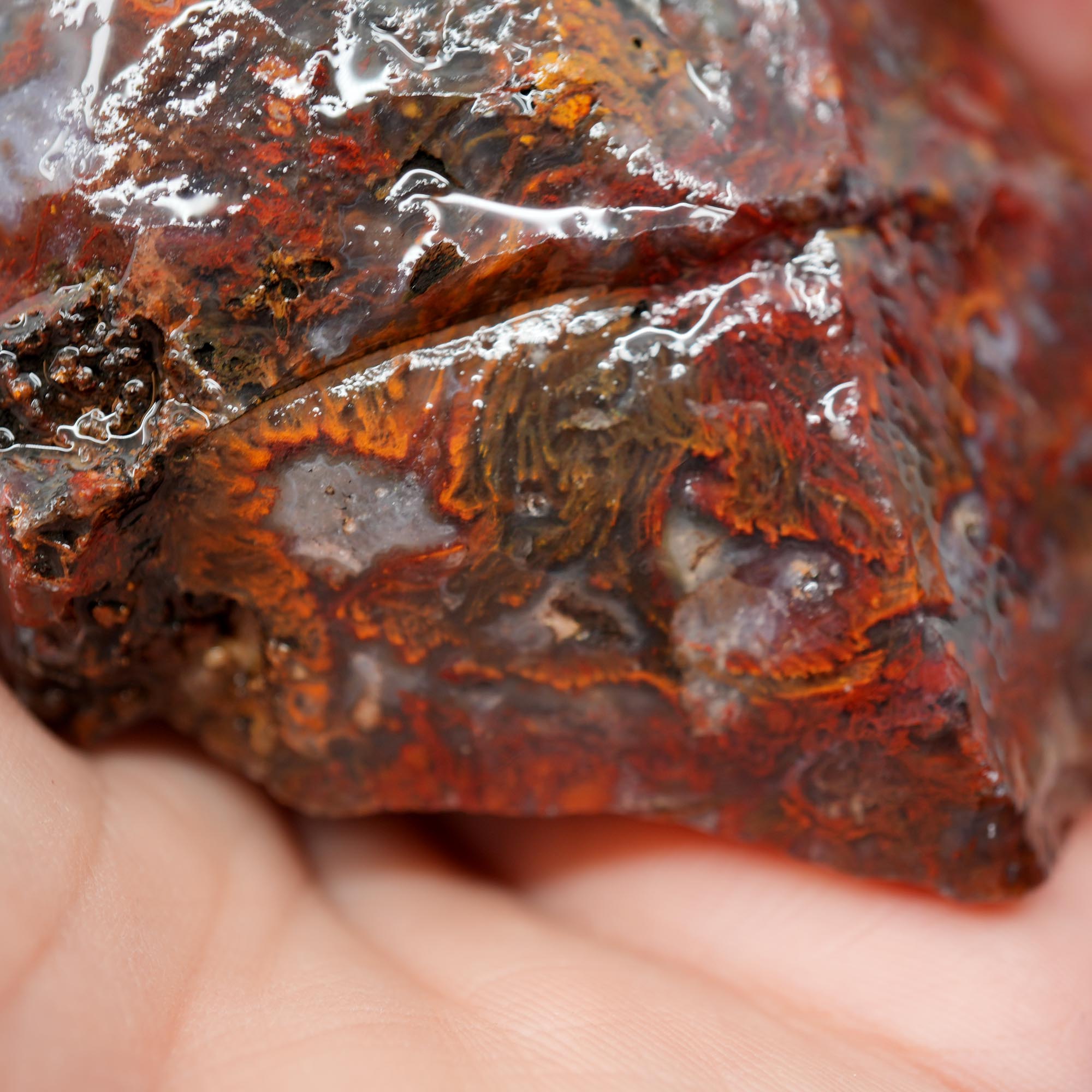 San Carlos Agate Rough - Bright Red Orange with Stick Formation Moss
