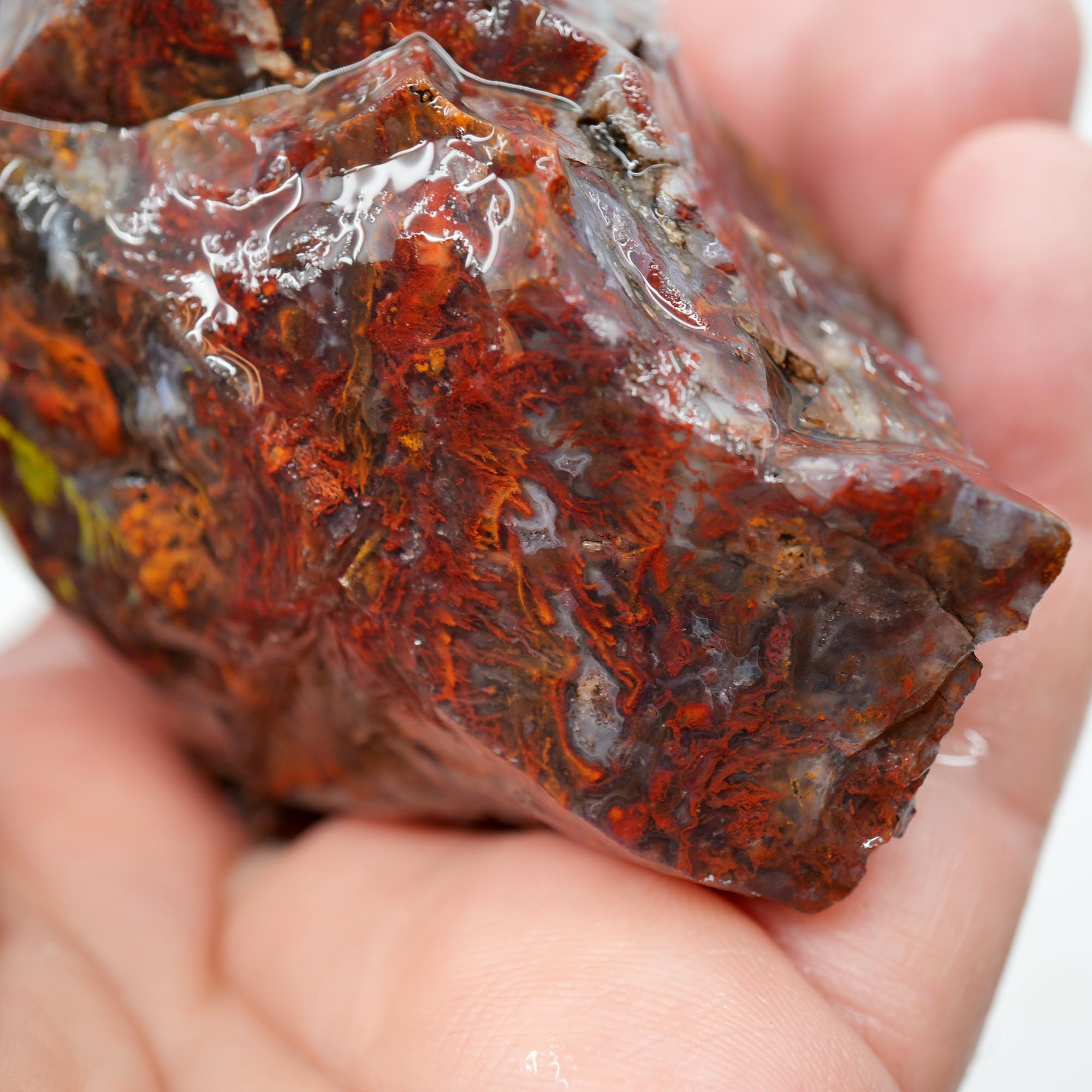 San Carlos Agate Rough - Bright Red Orange with Stick Formation Moss