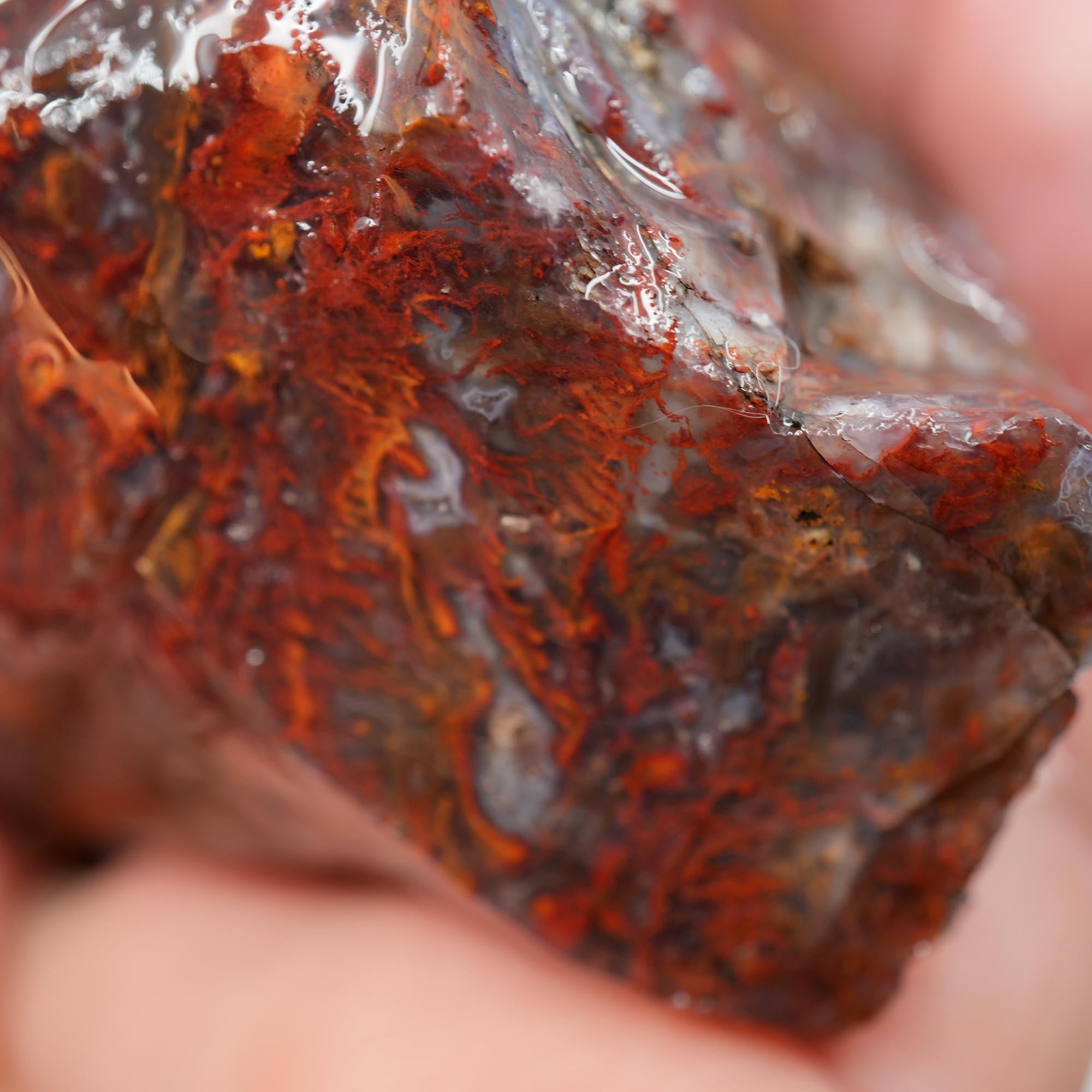 San Carlos Agate Rough - Bright Red Orange with Stick Formation Moss