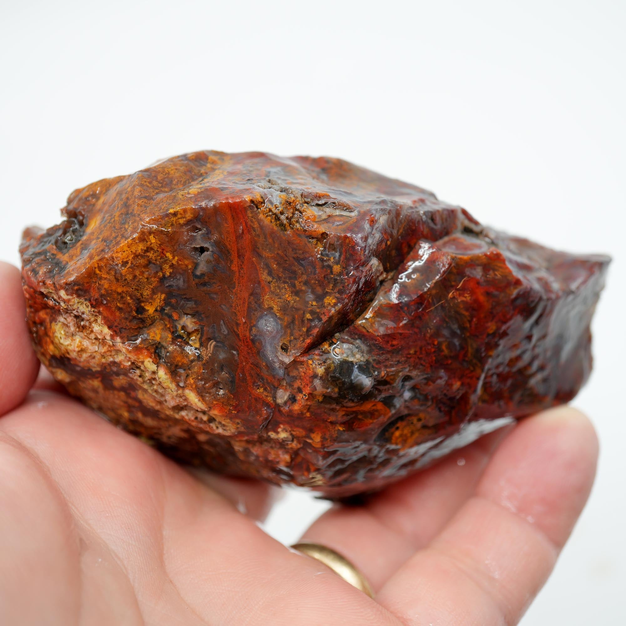 San Carlos Agate Rough - Bright Red Orange with Stick Formation Moss