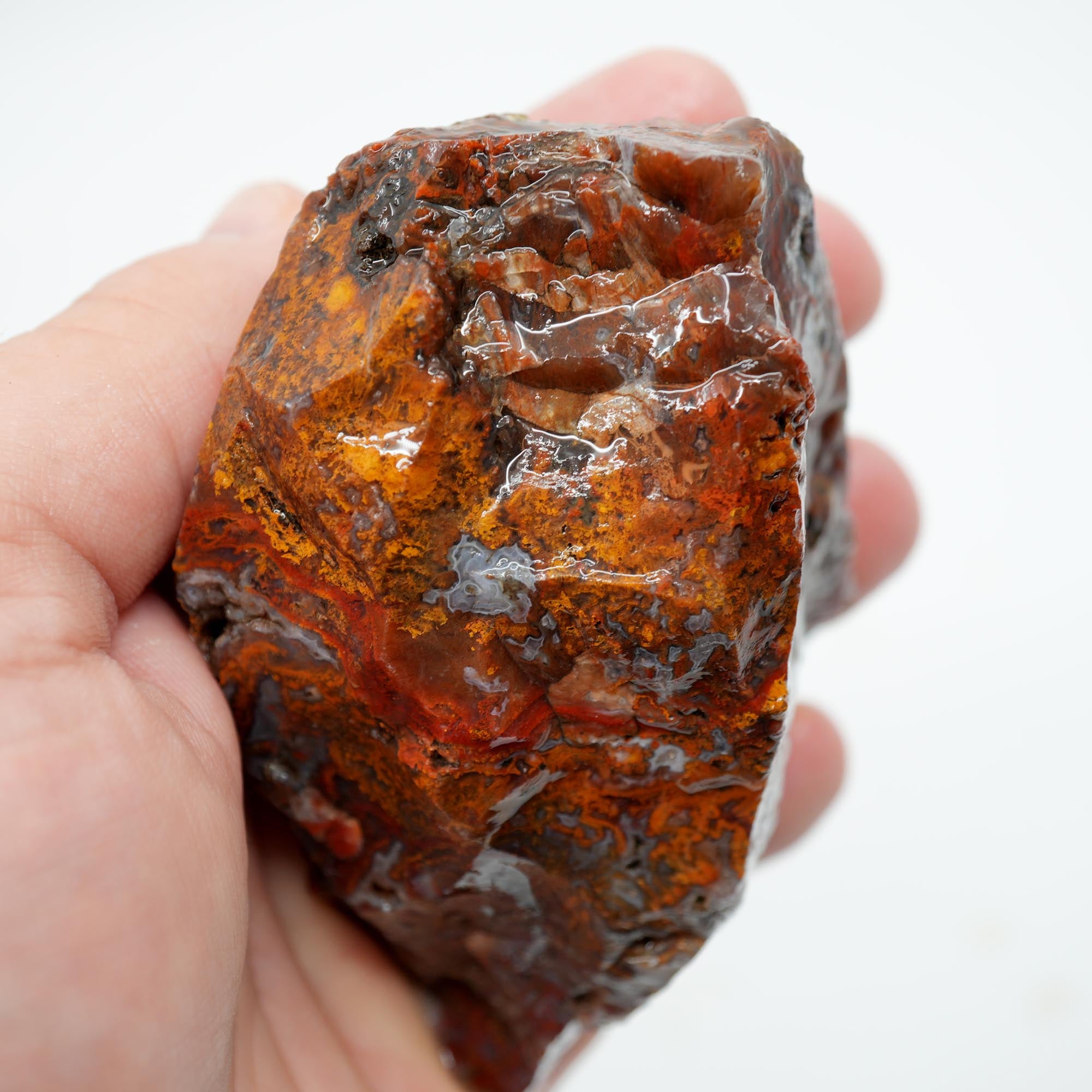 San Carlos Agate Rough - Bright Red Orange with Stick Formation Moss