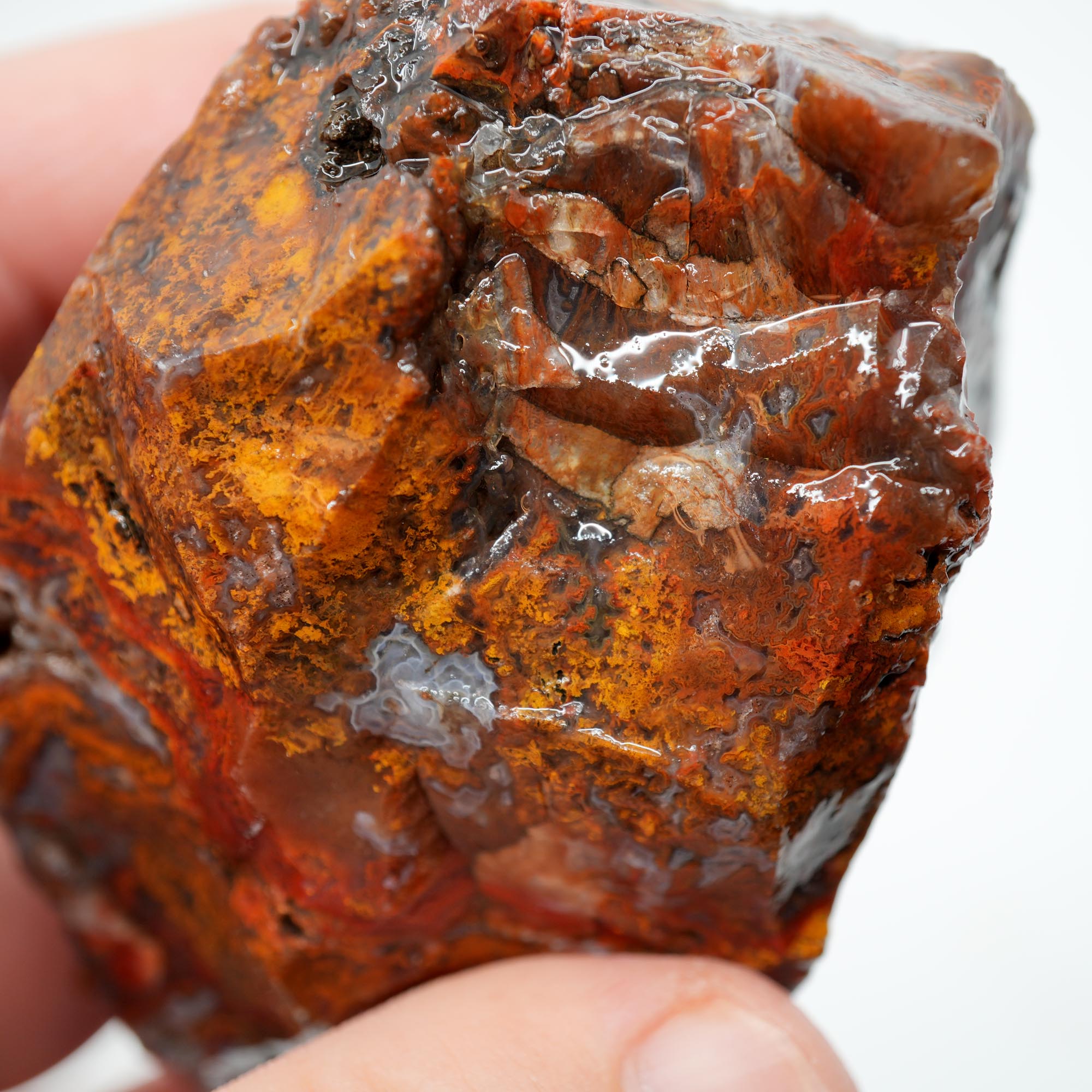 San Carlos Agate Rough - Bright Red Orange with Stick Formation Moss