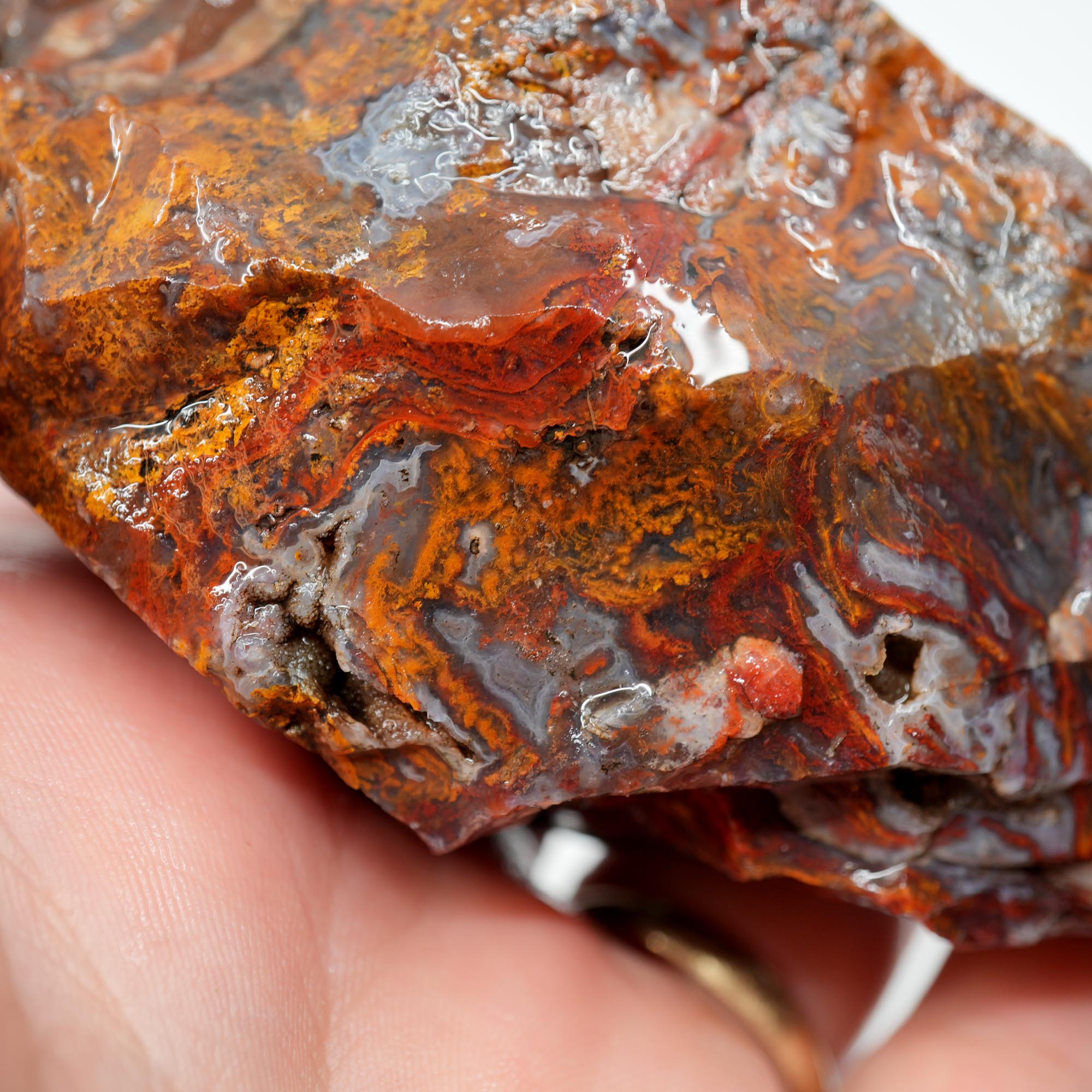San Carlos Agate Rough - Bright Red Orange with Stick Formation Moss