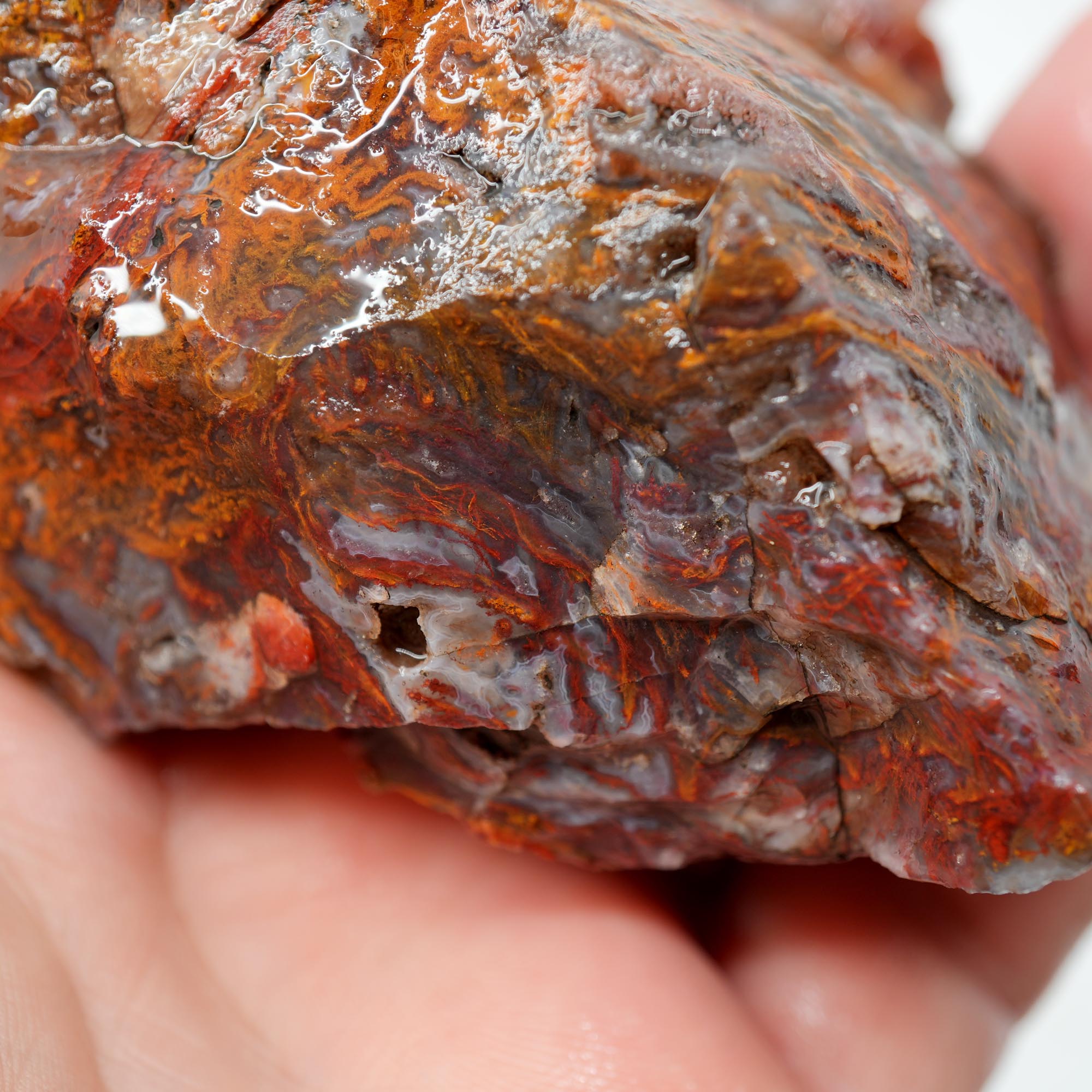 San Carlos Agate Rough - Bright Red Orange with Stick Formation Moss
