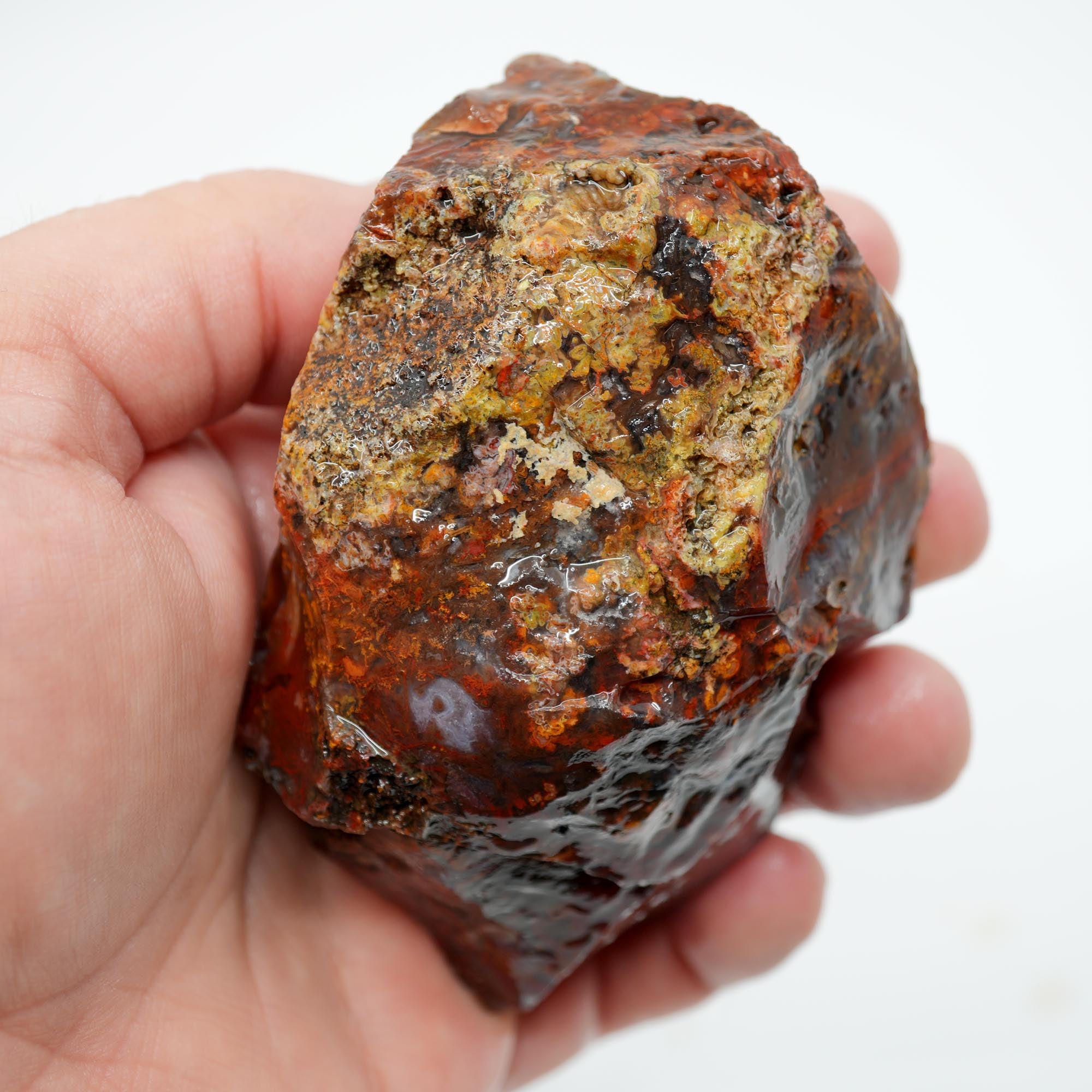 San Carlos Agate Rough - Bright Red Orange with Stick Formation Moss