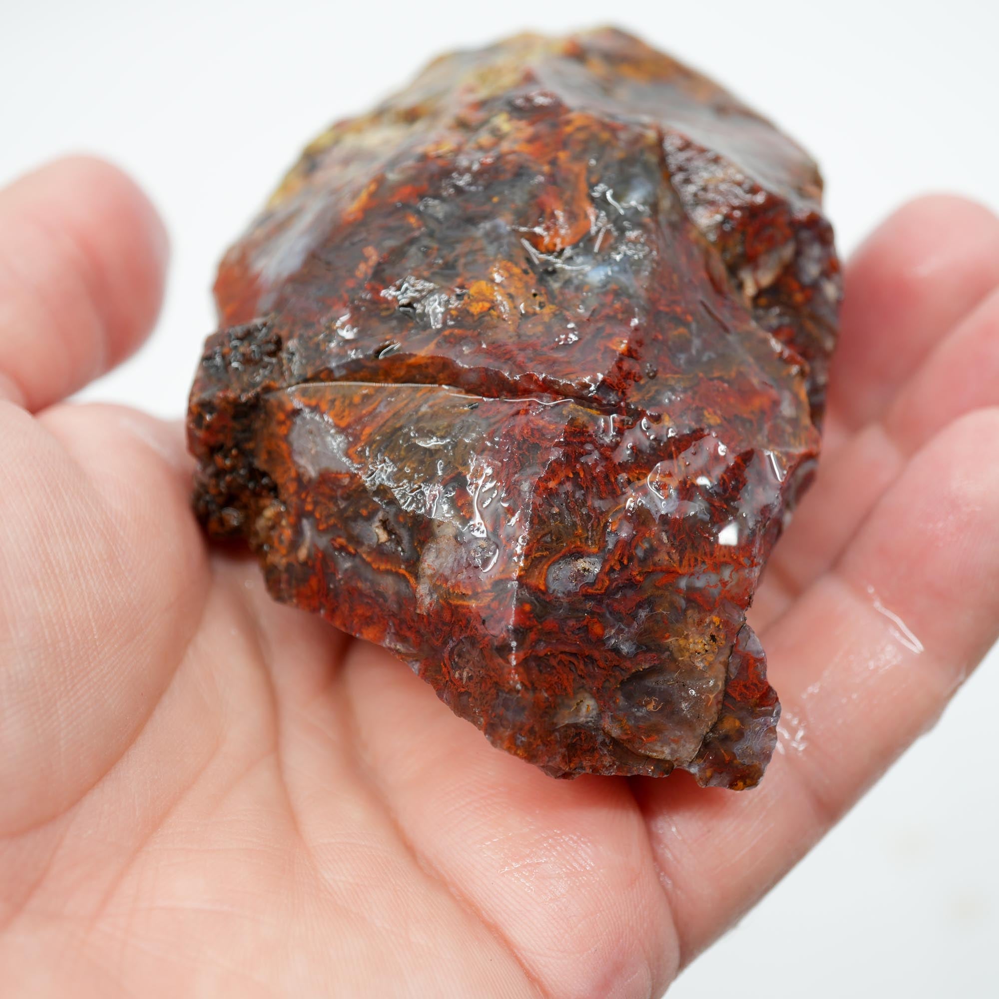 San Carlos Agate Rough - Bright Red Orange with Stick Formation Moss