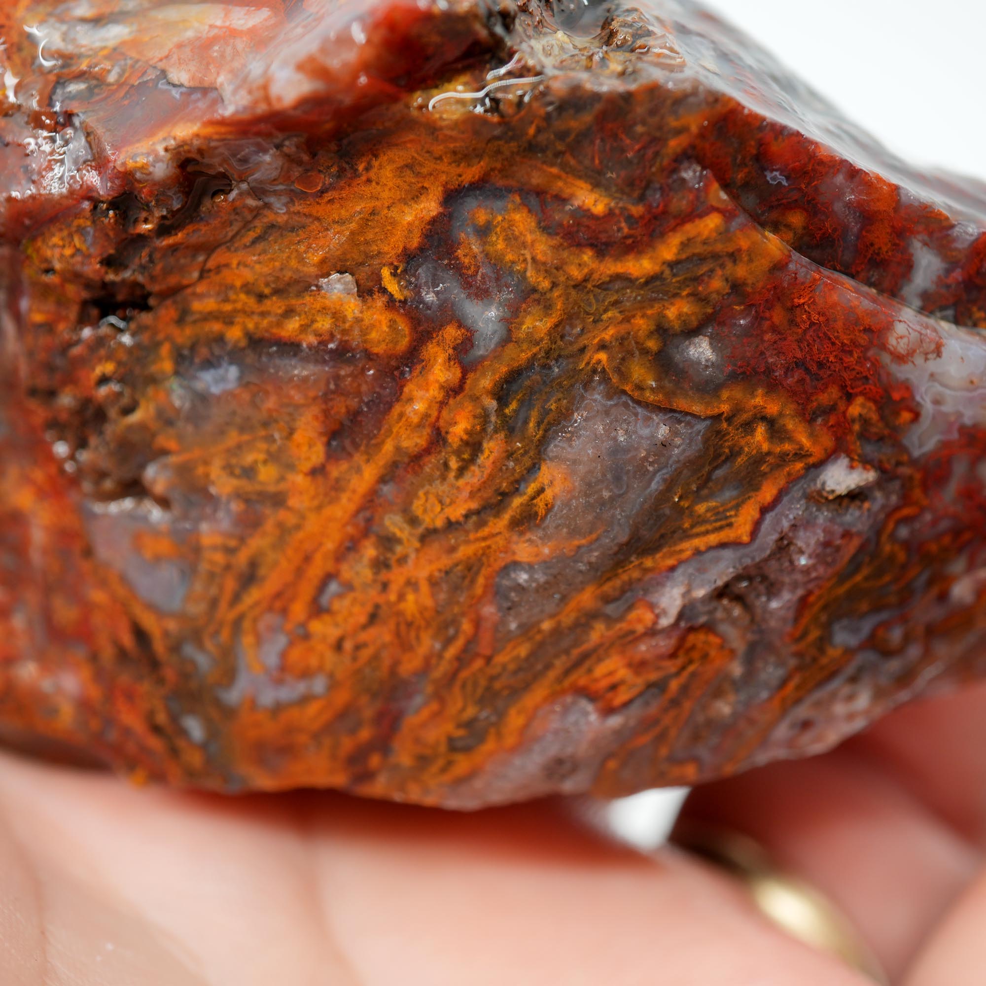 San Carlos Agate Rough - Bright Red Orange with Stick Formation Moss