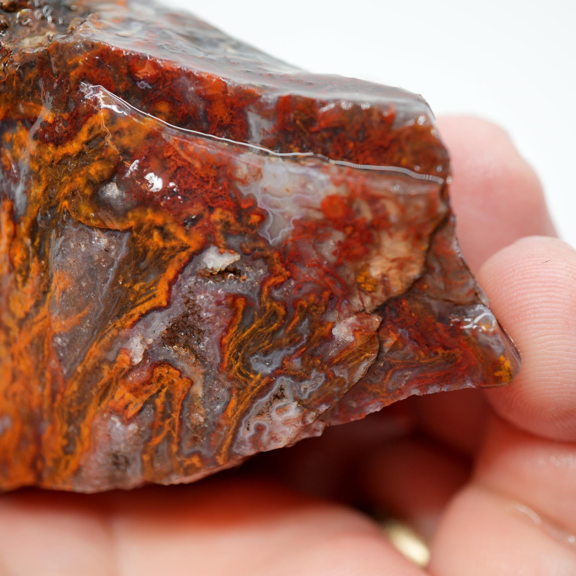 San Carlos Agate Rough - Bright Red Orange with Stick Formation Moss