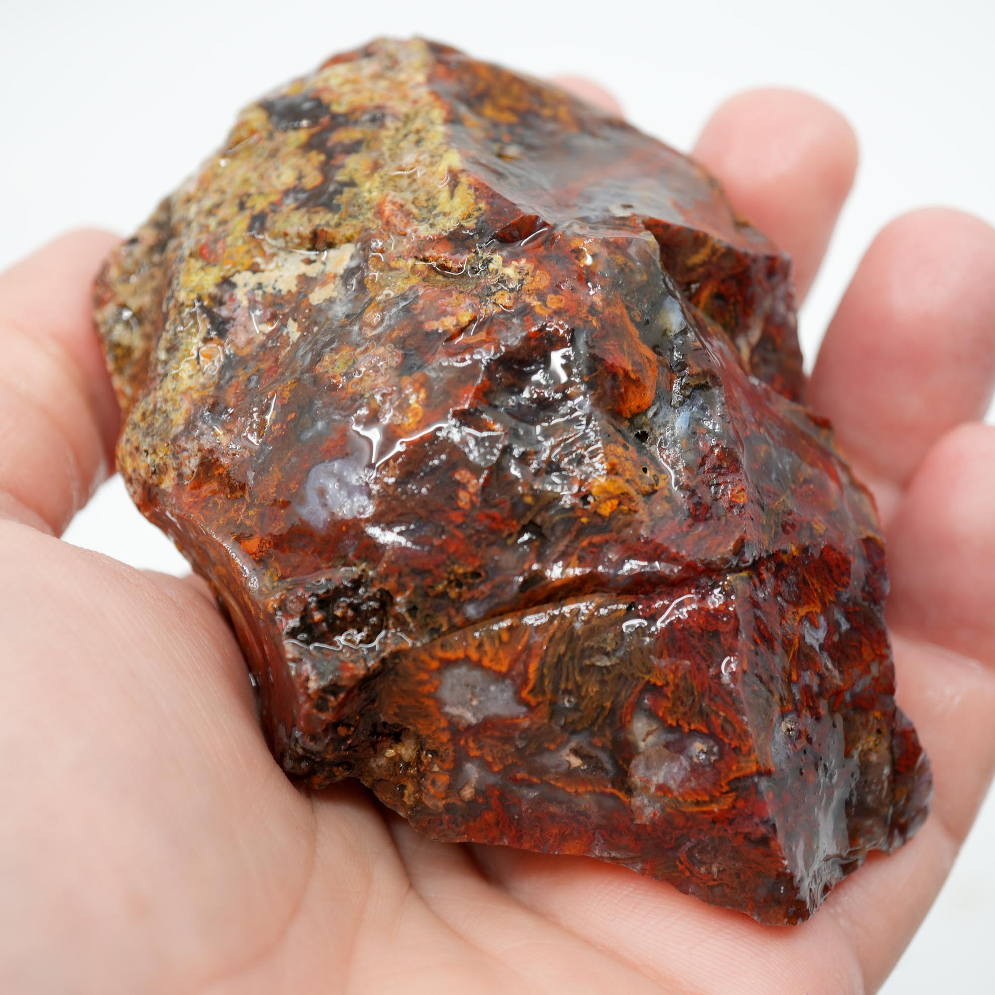 San Carlos Agate Rough - Bright Red Orange with Stick Formation Moss