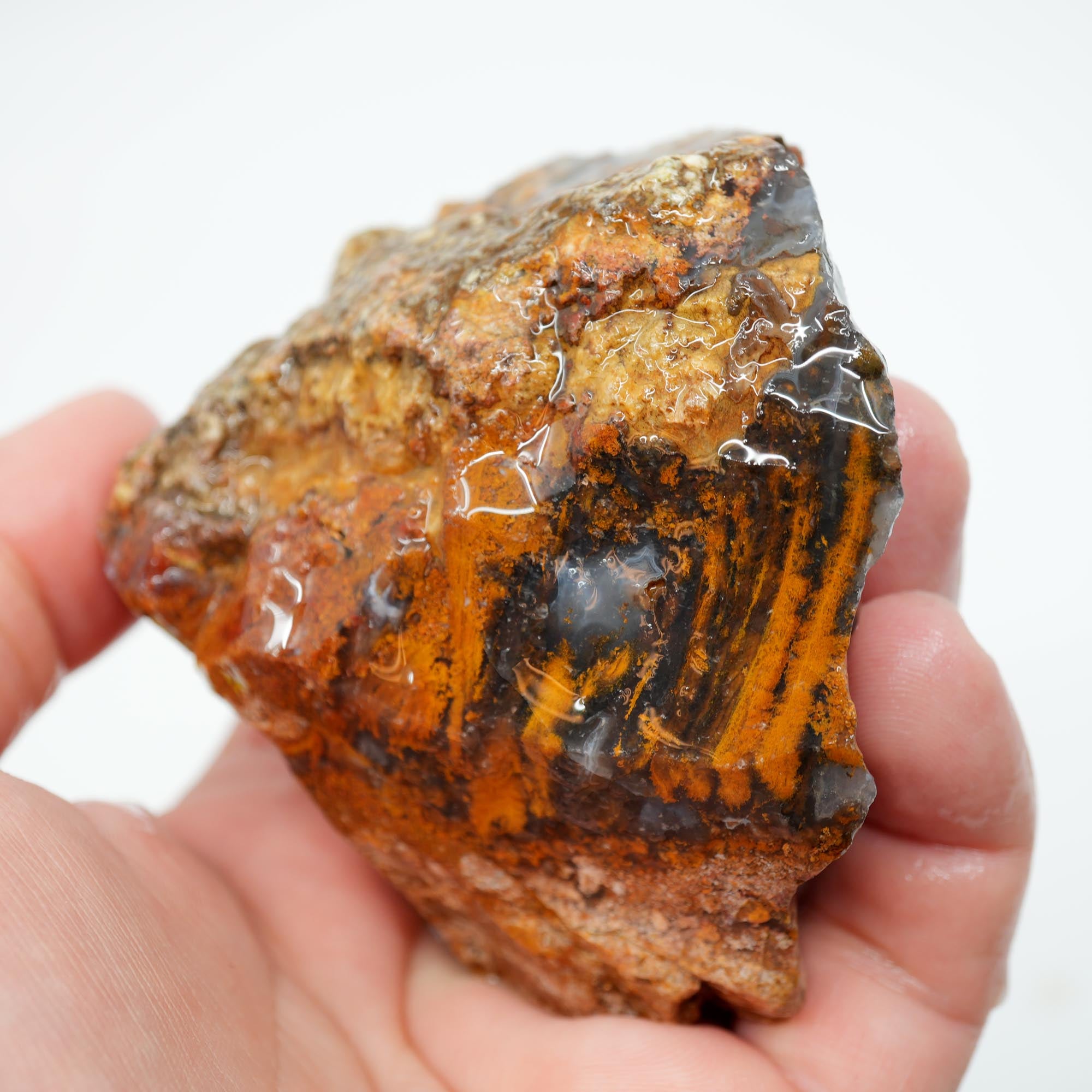 San Carlos Agate Rough - Darker Complexion with Brown Tiger Stripe Bars