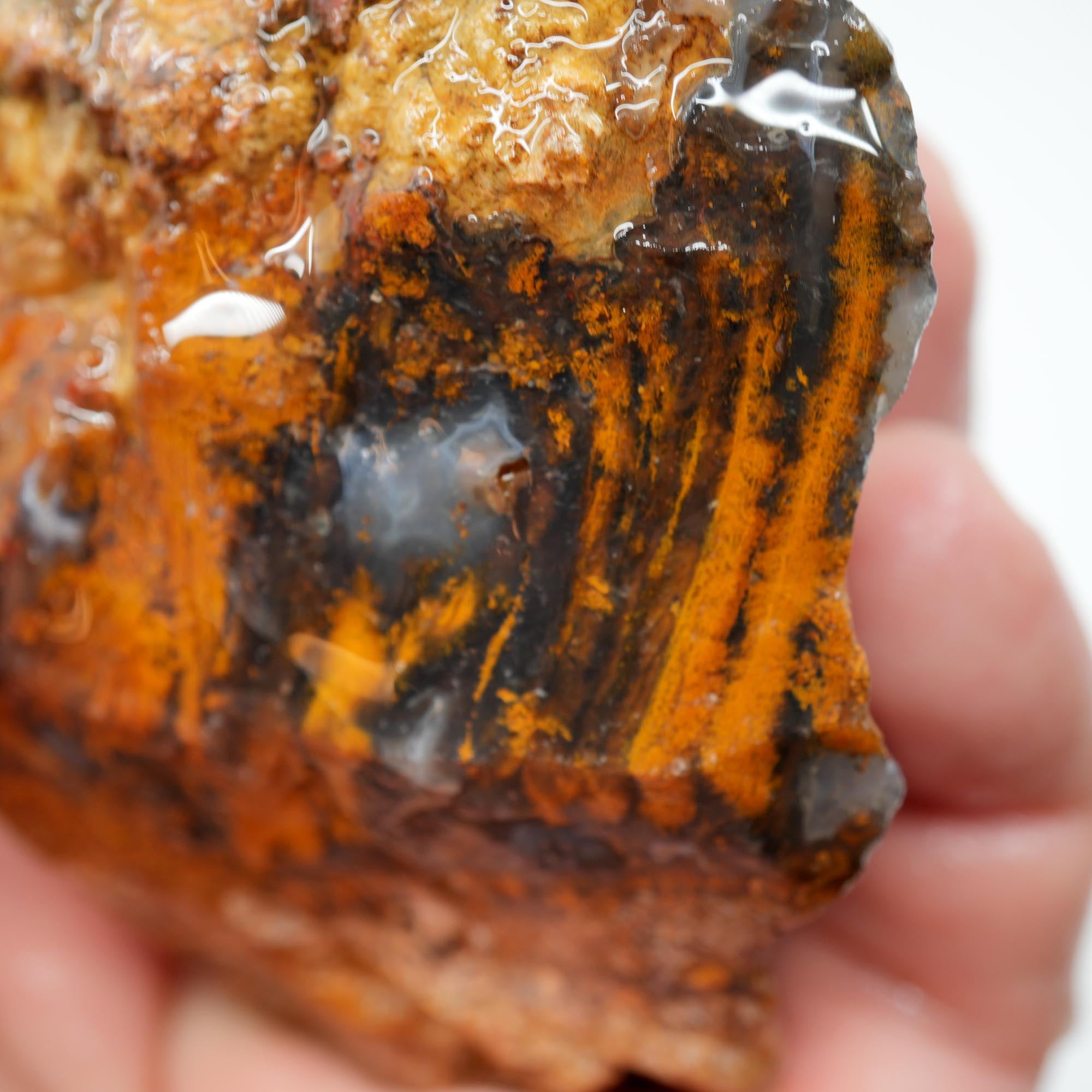 San Carlos Agate Rough - Darker Complexion with Brown Tiger Stripe Bars