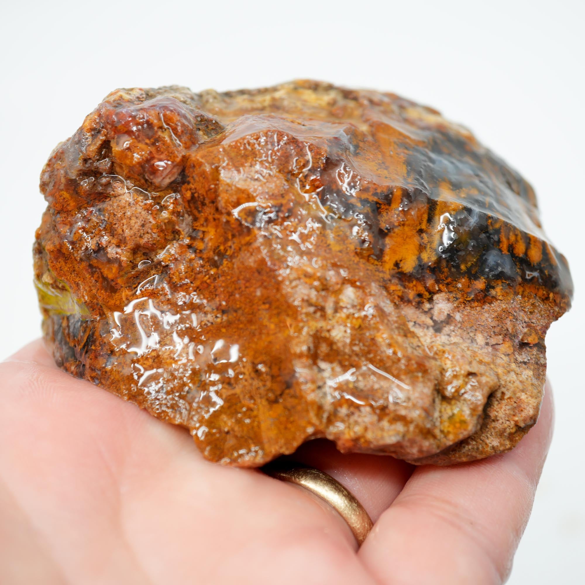 San Carlos Agate Rough - Darker Complexion with Brown Tiger Stripe Bars