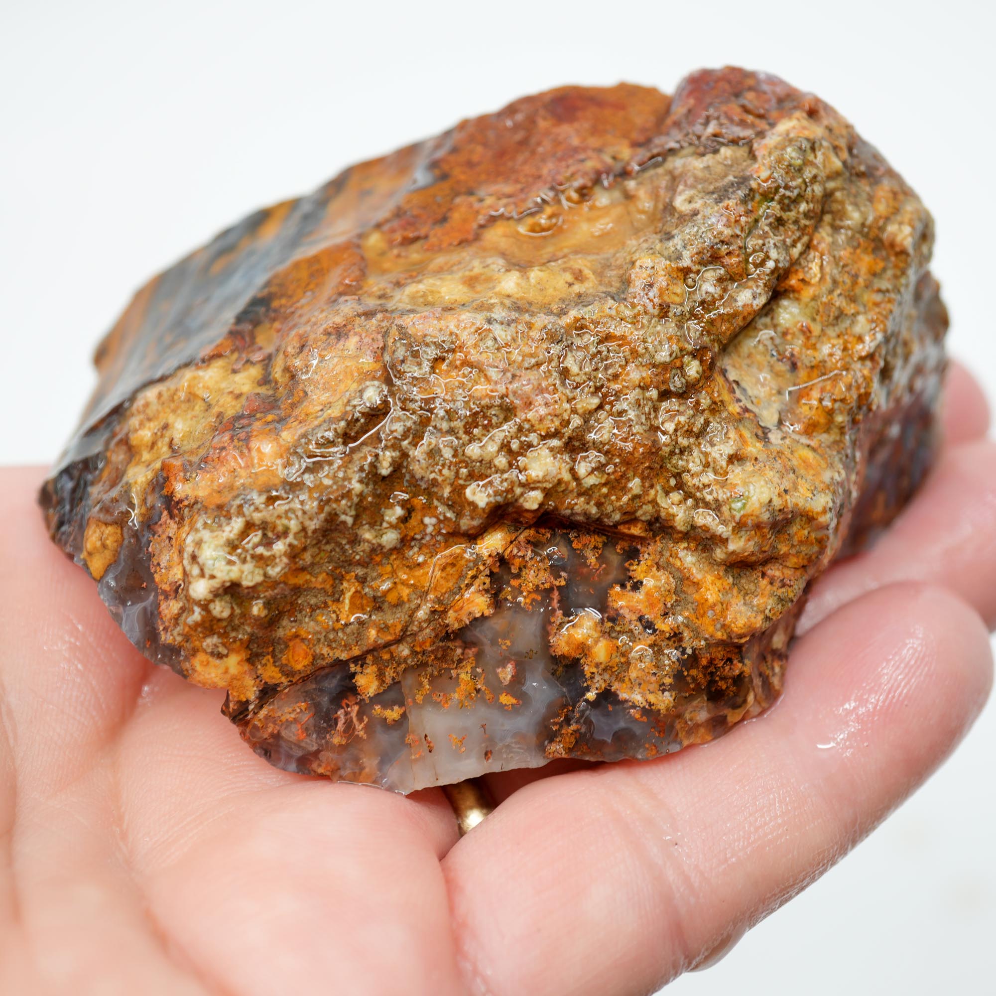 San Carlos Agate Rough - Darker Complexion with Brown Tiger Stripe Bars