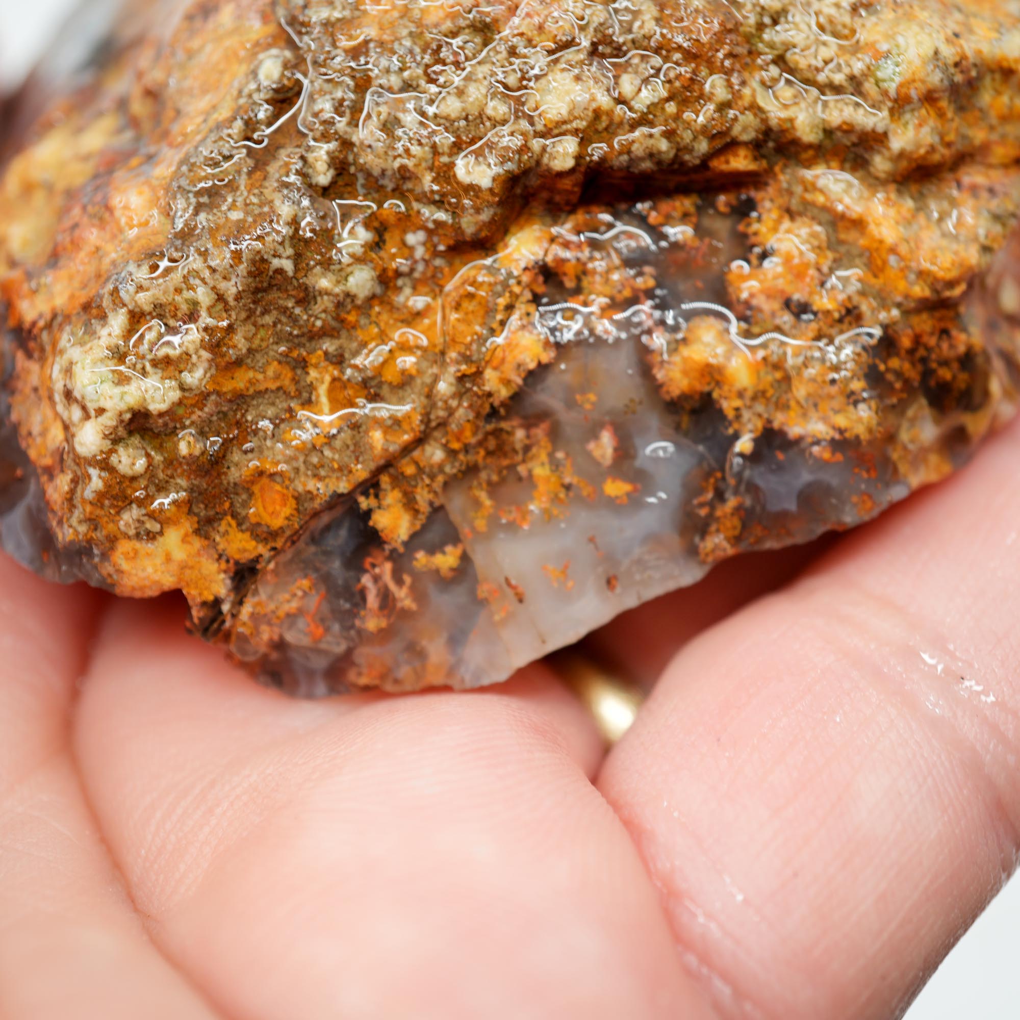 San Carlos Agate Rough - Darker Complexion with Brown Tiger Stripe Bars