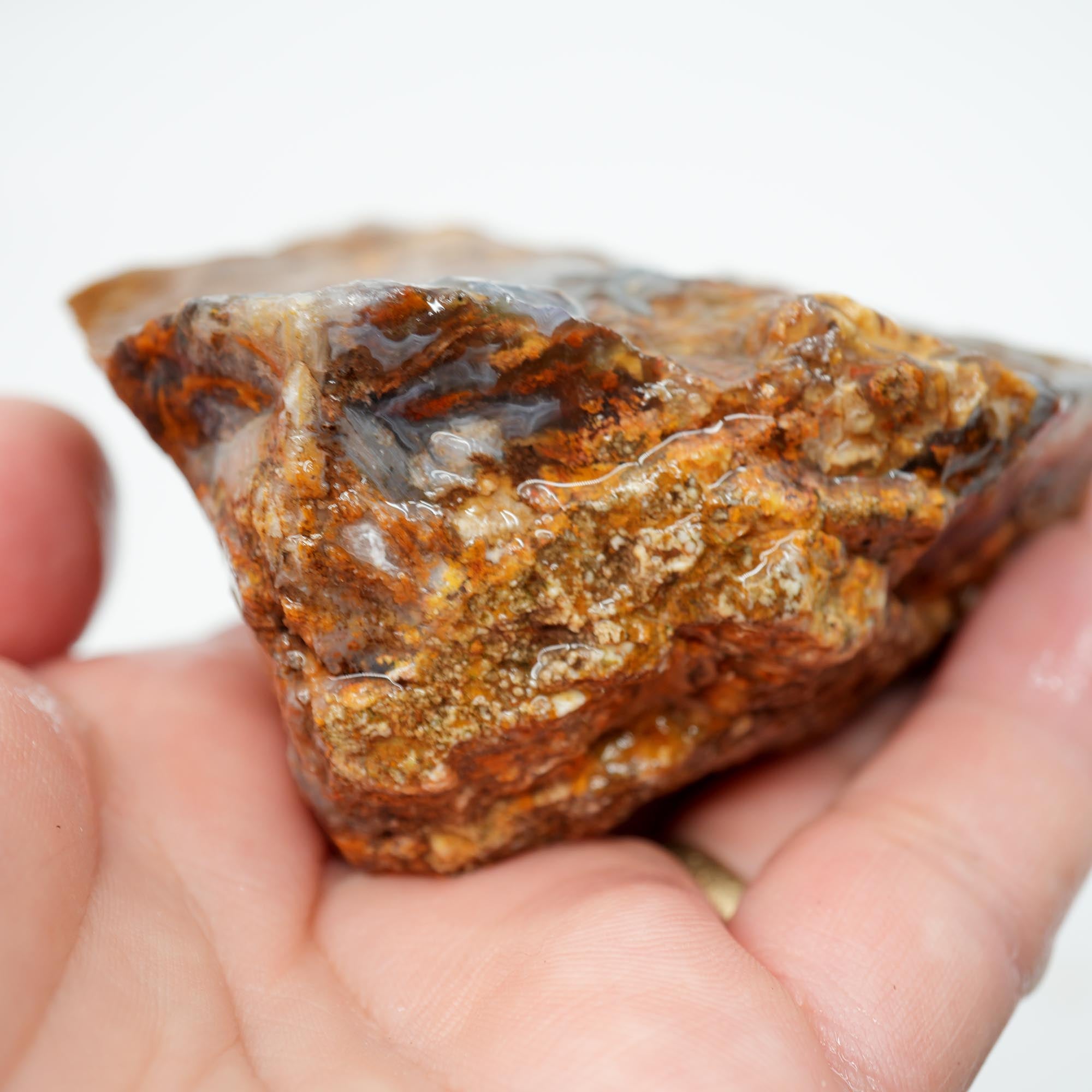 San Carlos Agate Rough - Darker Complexion with Brown Tiger Stripe Bars