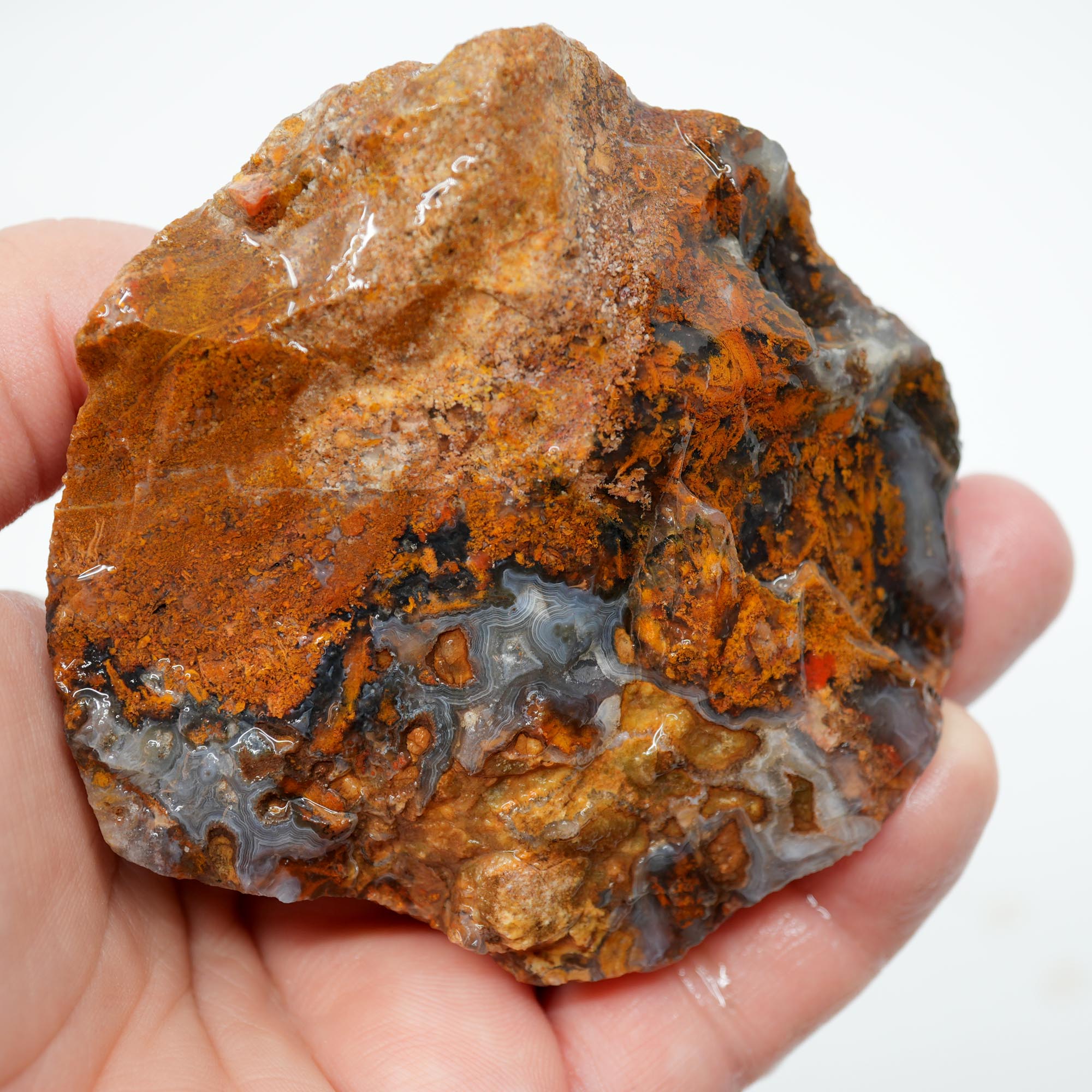 San Carlos Agate Rough - Darker Complexion with Brown Tiger Stripe Bars