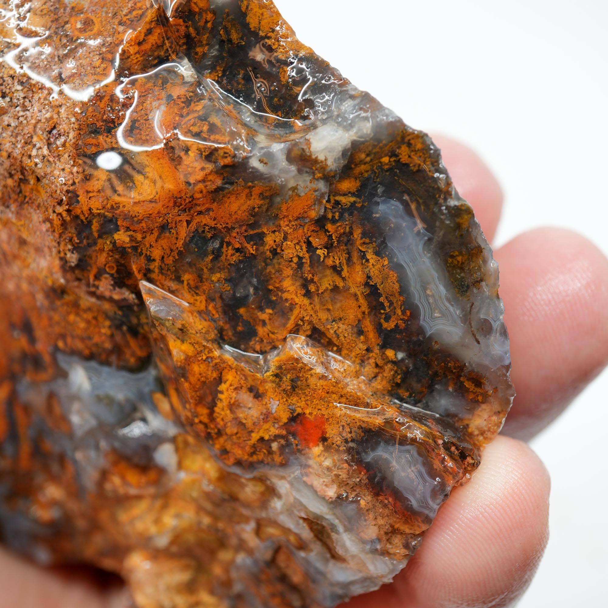 San Carlos Agate Rough - Darker Complexion with Brown Tiger Stripe Bars