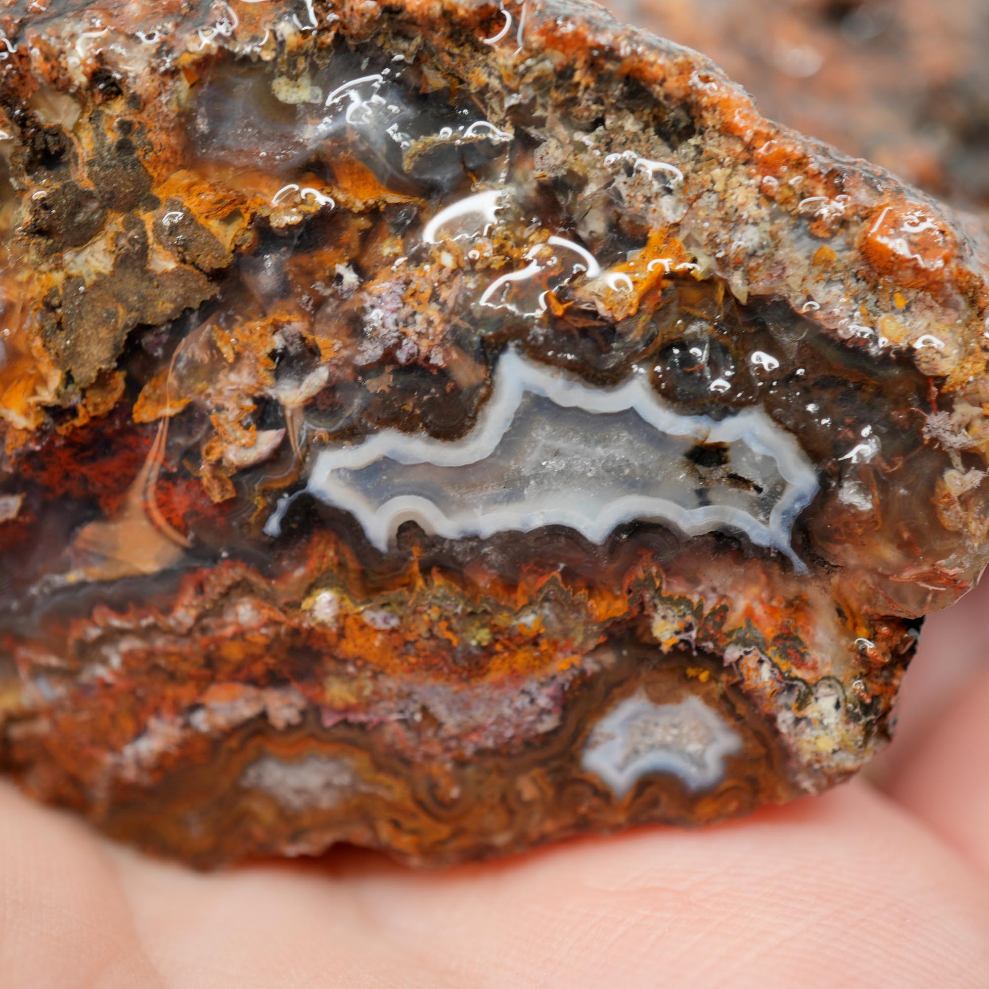 San Carlos Agate Rough - Plate with Fortification and Moss