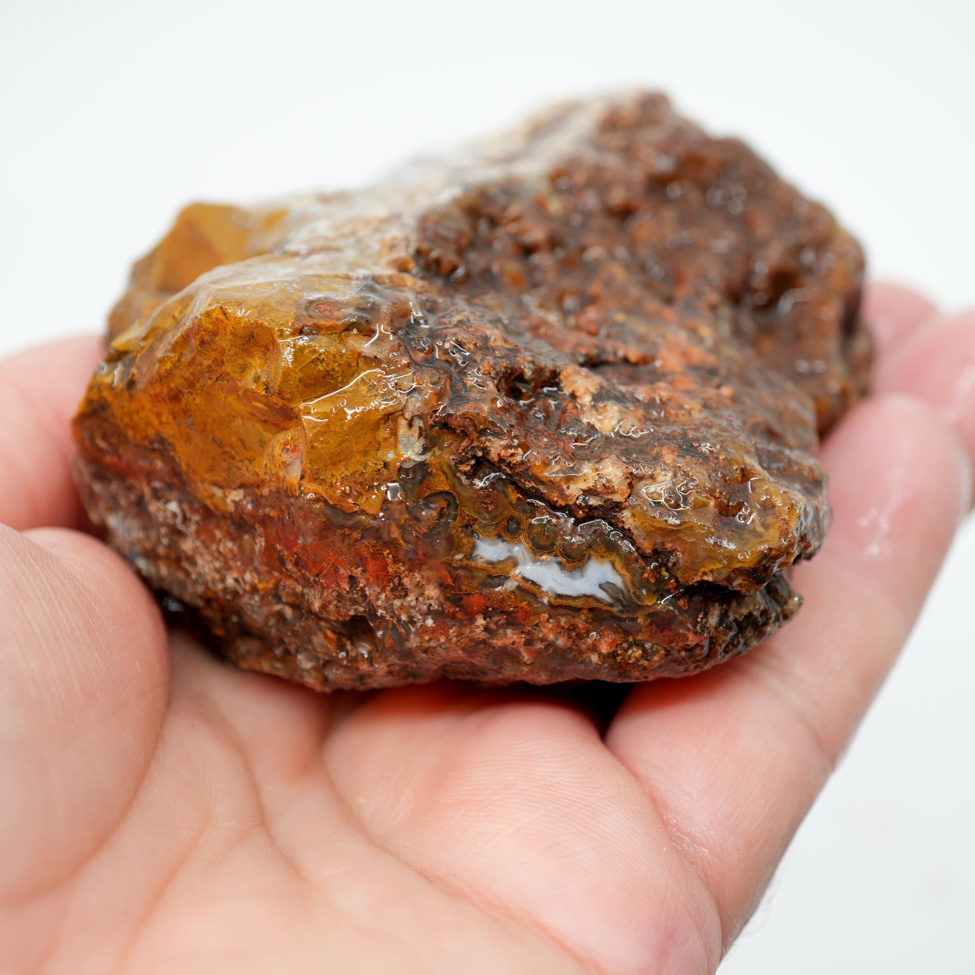 San Carlos Agate Rough - Plate with Fortification and Moss