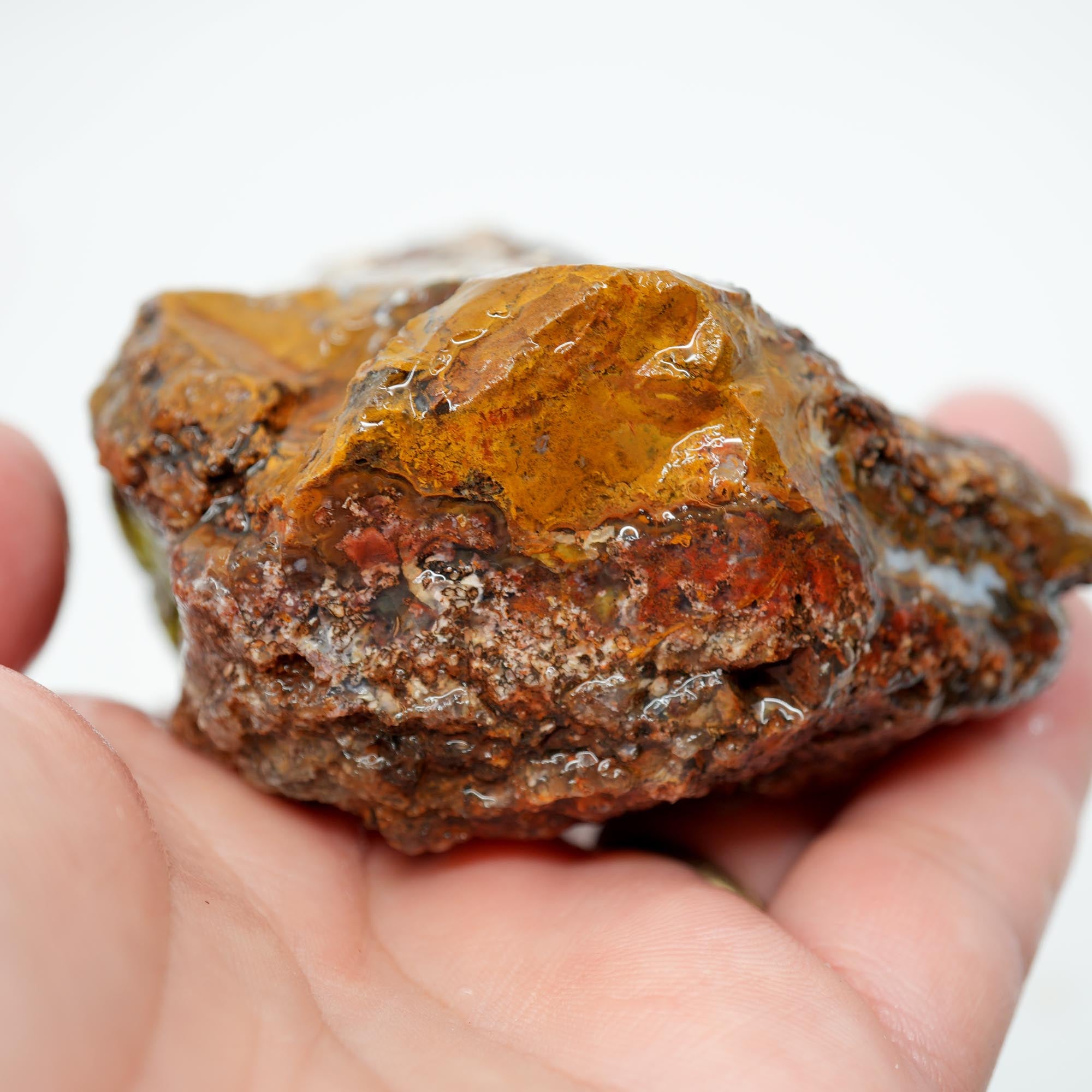 San Carlos Agate Rough - Plate with Fortification and Moss