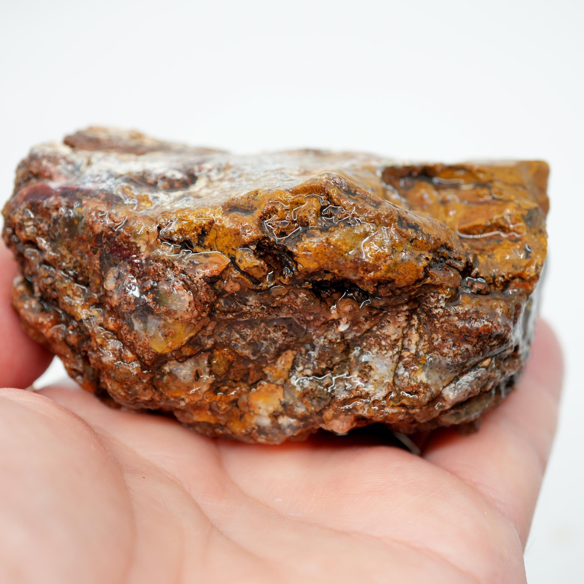 San Carlos Agate Rough - Plate with Fortification and Moss