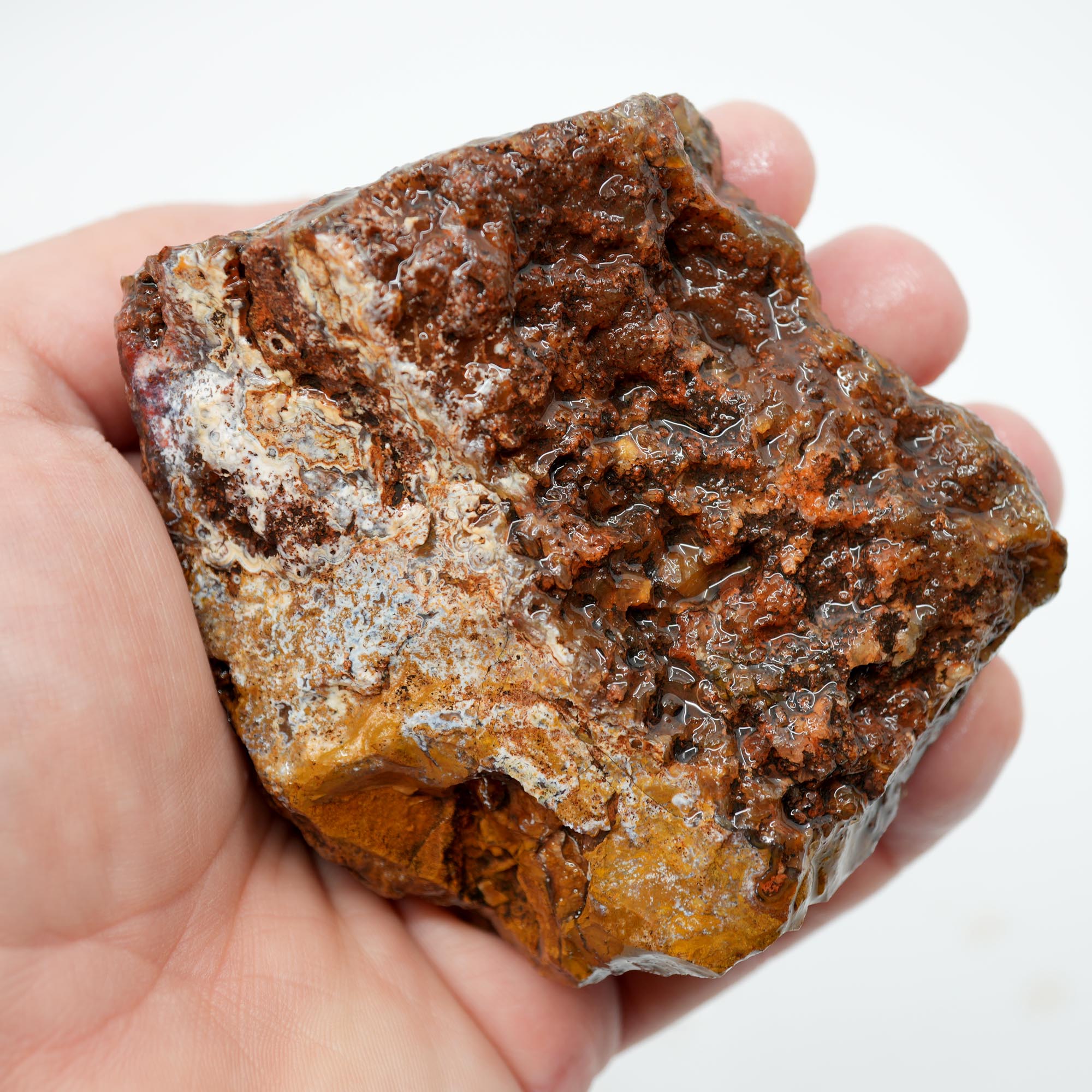 San Carlos Agate Rough - Plate with Fortification and Moss