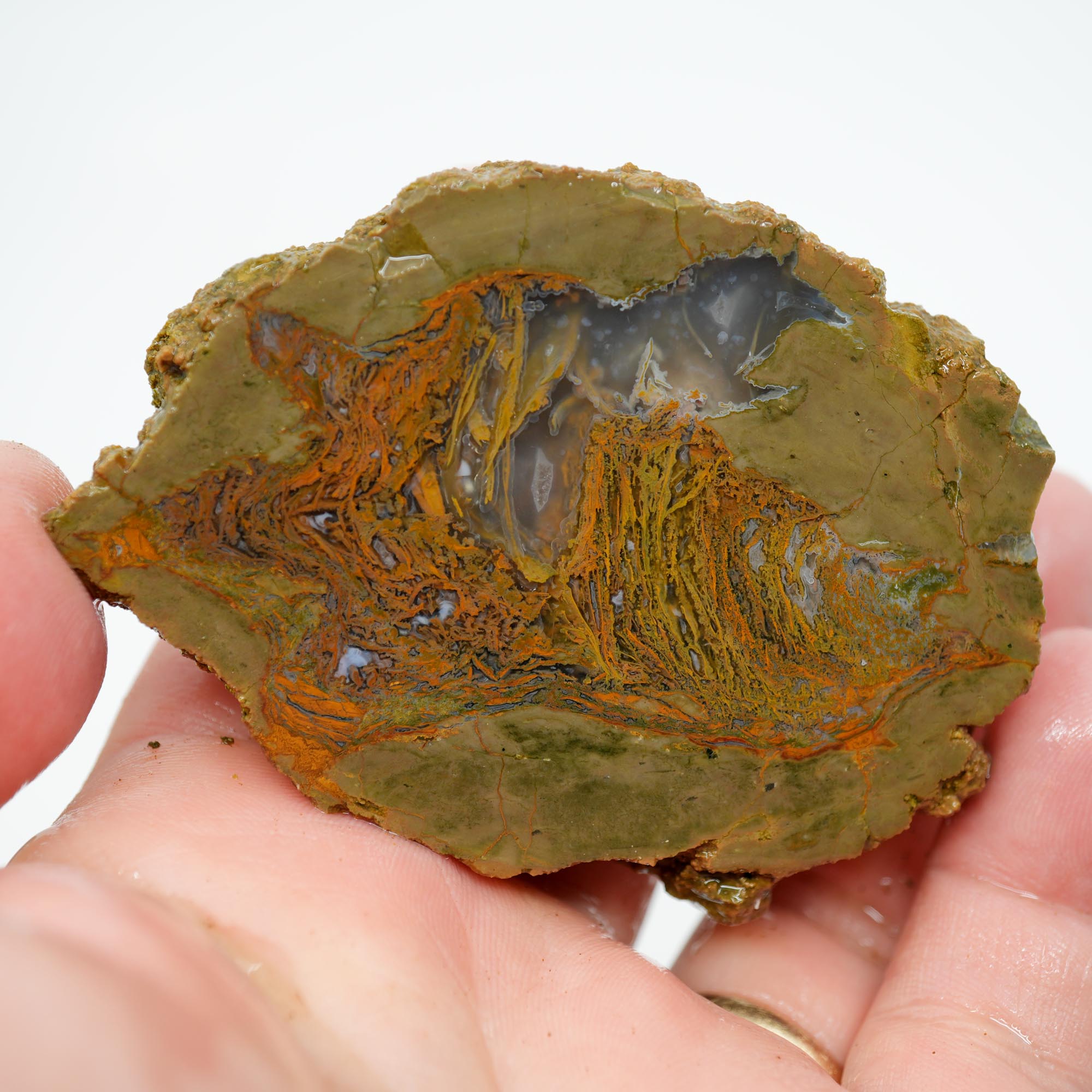 Priday Moss Bed Thunderegg Rough - Orange Stick Moss Cut on One Side