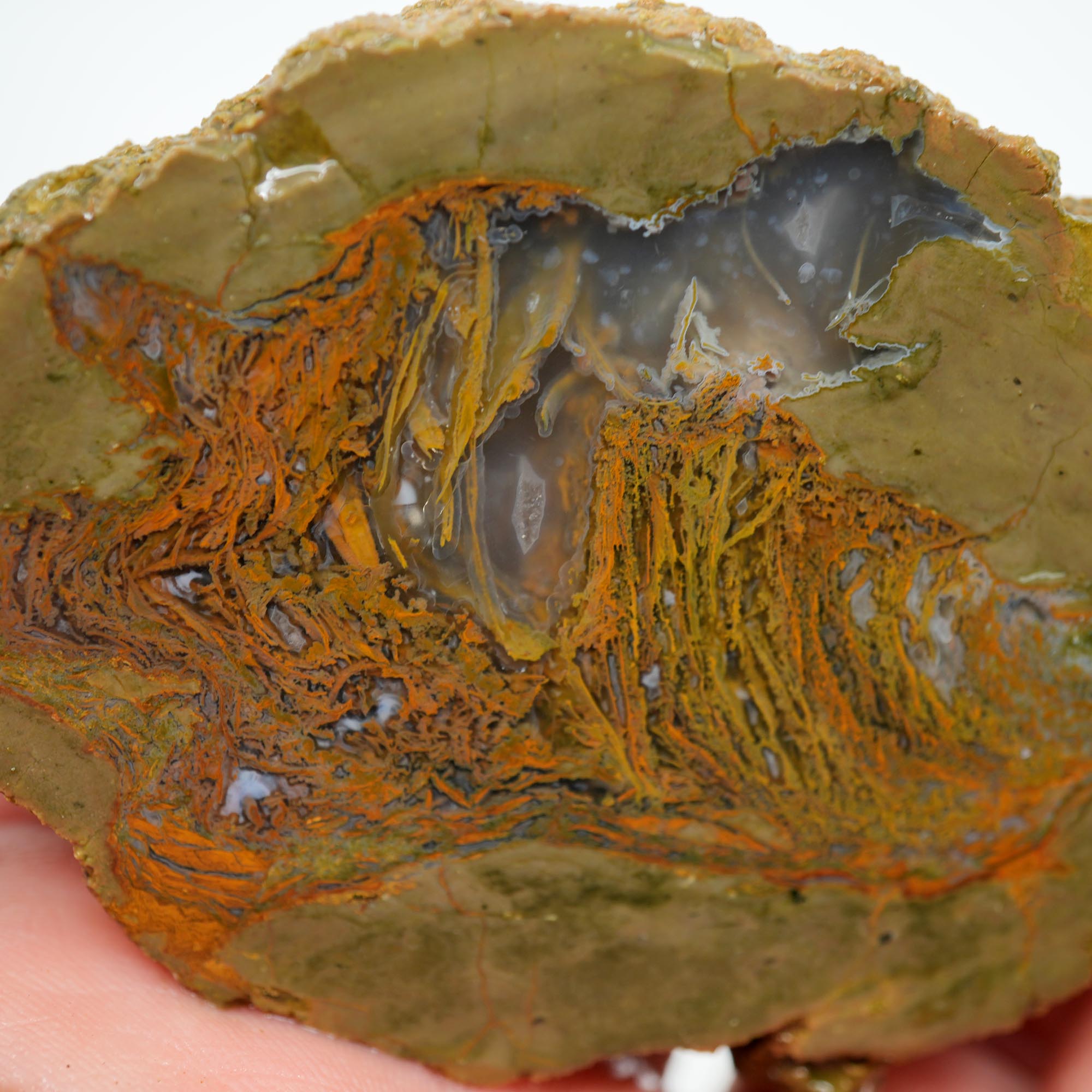 Priday Moss Bed Thunderegg Rough - Orange Stick Moss Cut on One Side
