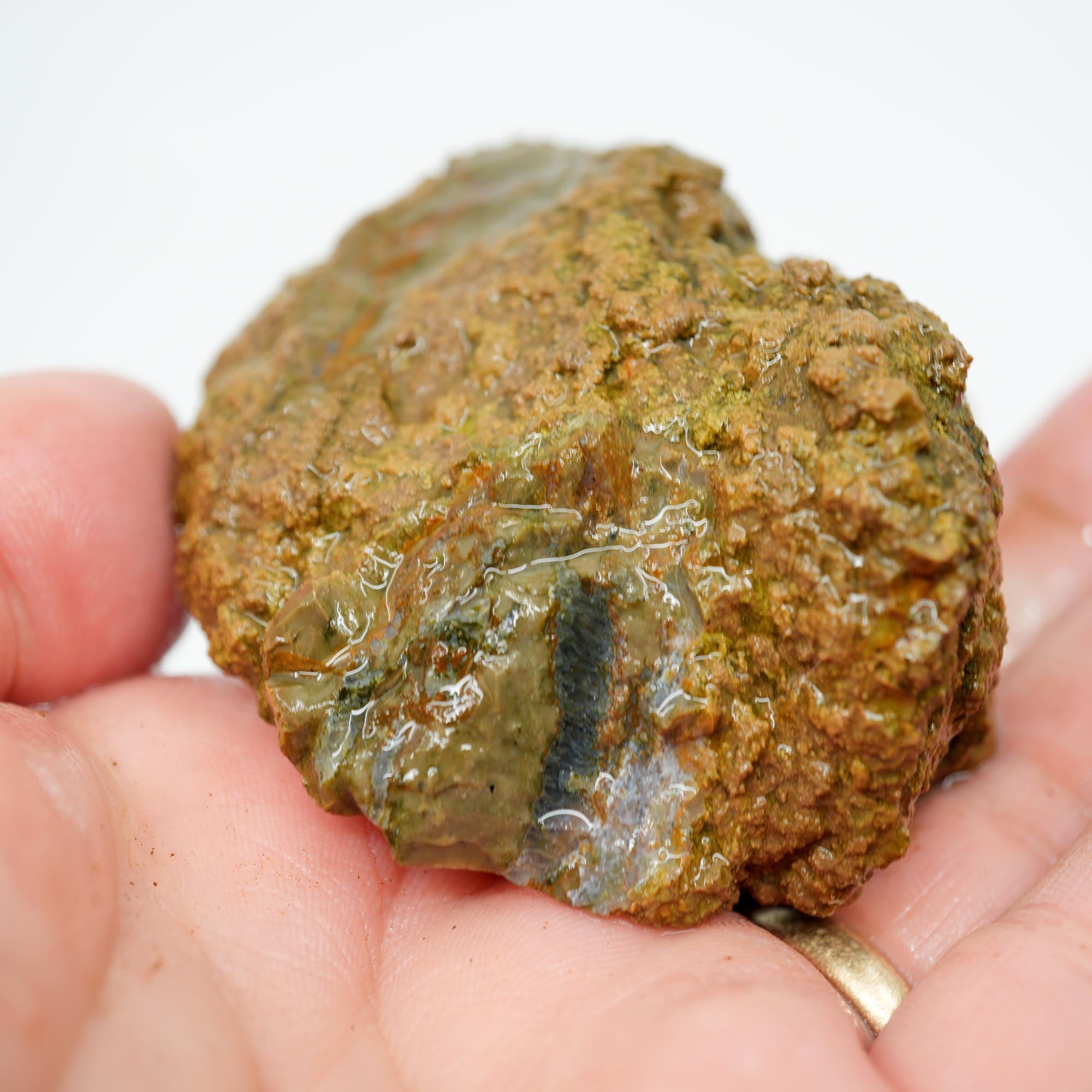 Priday Moss Bed Thunderegg Rough - Orange Stick Moss Cut on One Side