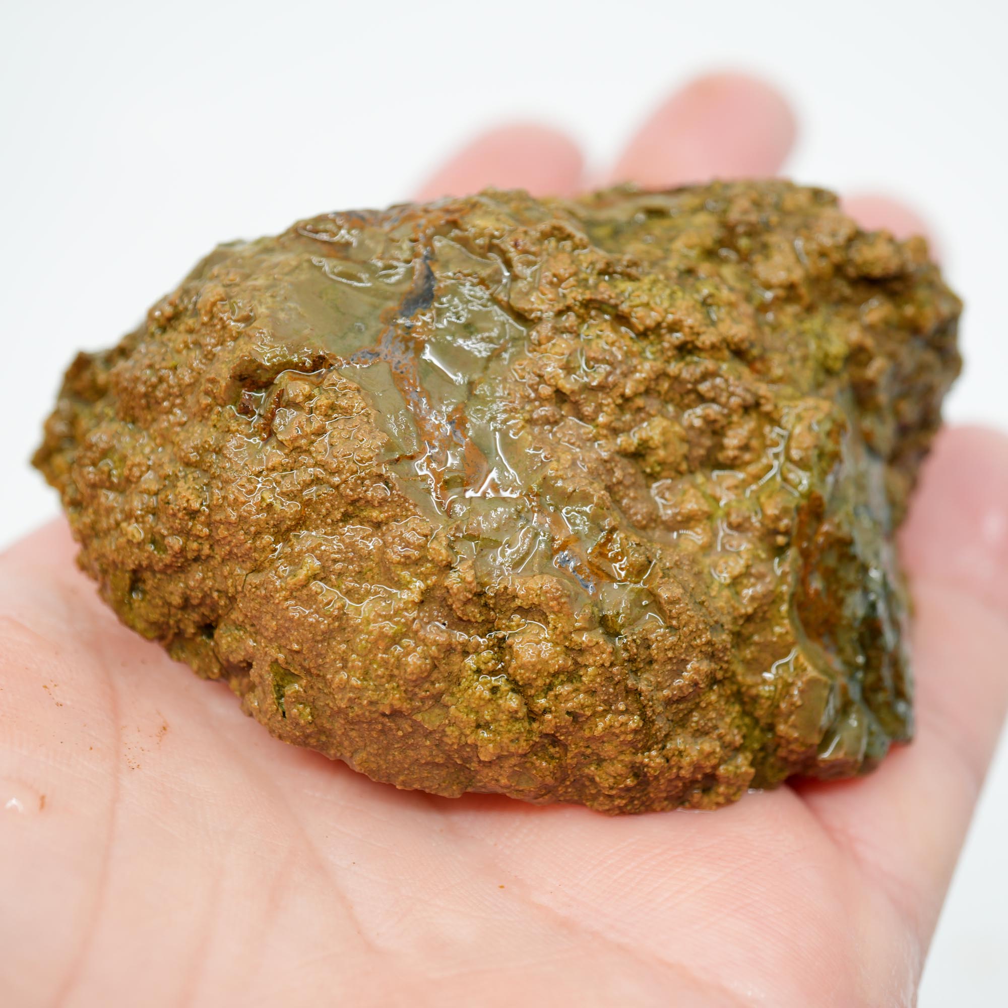 Priday Moss Bed Thunderegg Rough - Orange Stick Moss Cut on One Side