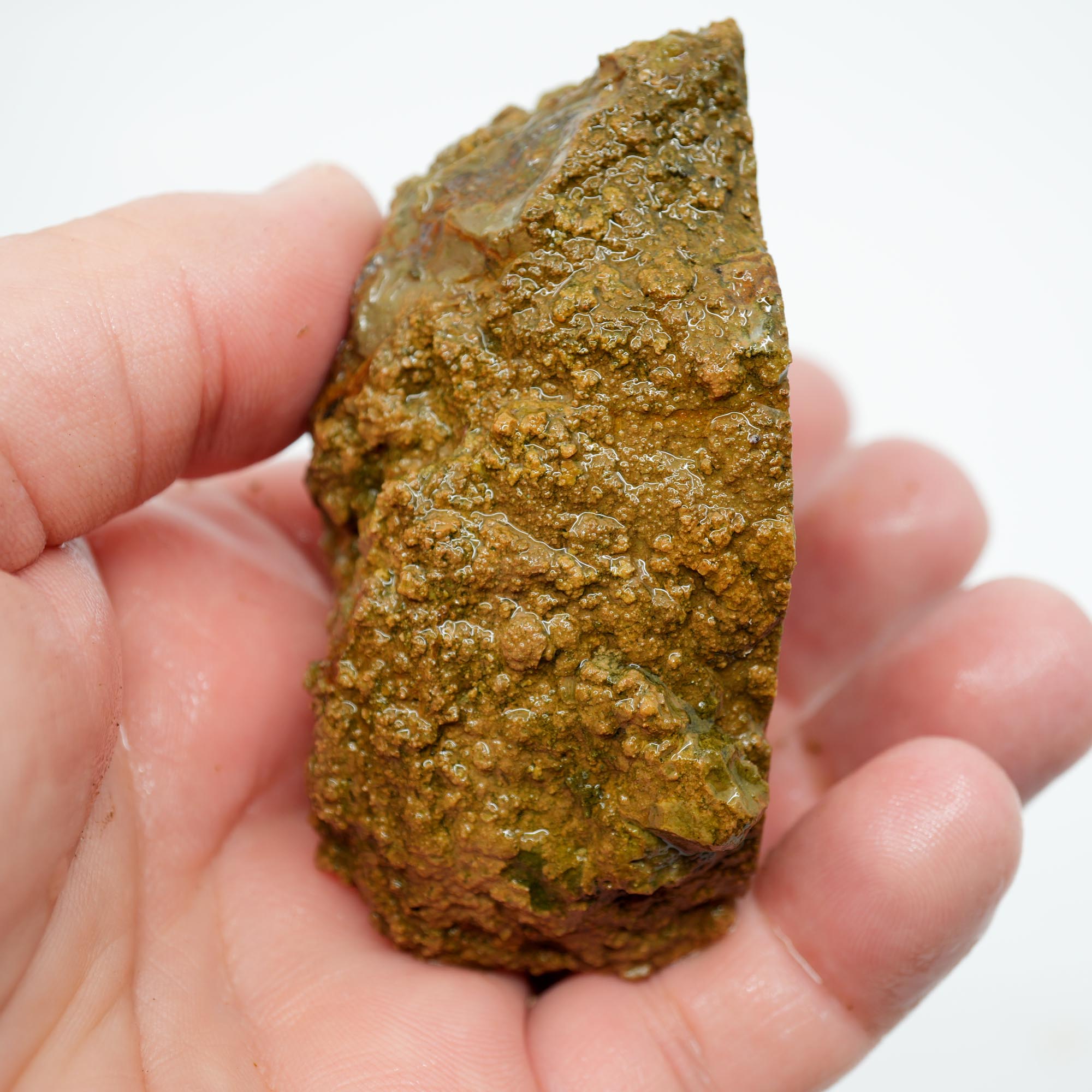 Priday Moss Bed Thunderegg Rough - Orange Stick Moss Cut on One Side