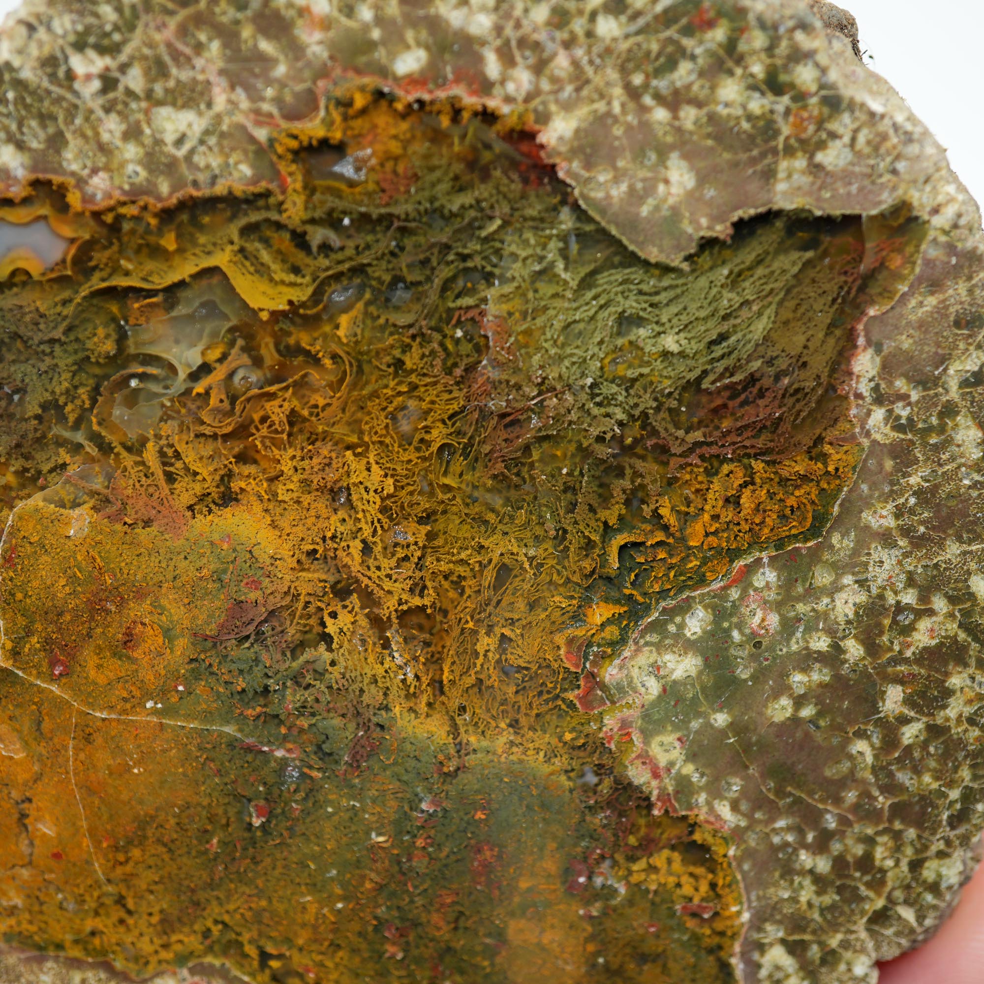 Lucky Strike Thunderegg Polished Display Specimen - Old Stock with Felt Base