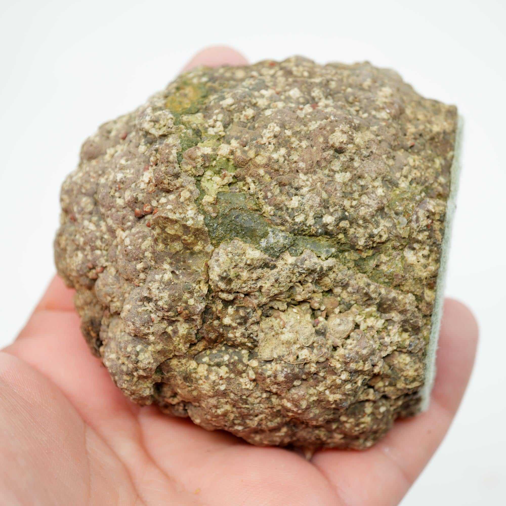 Lucky Strike Thunderegg Polished Display Specimen - Old Stock with Felt Base
