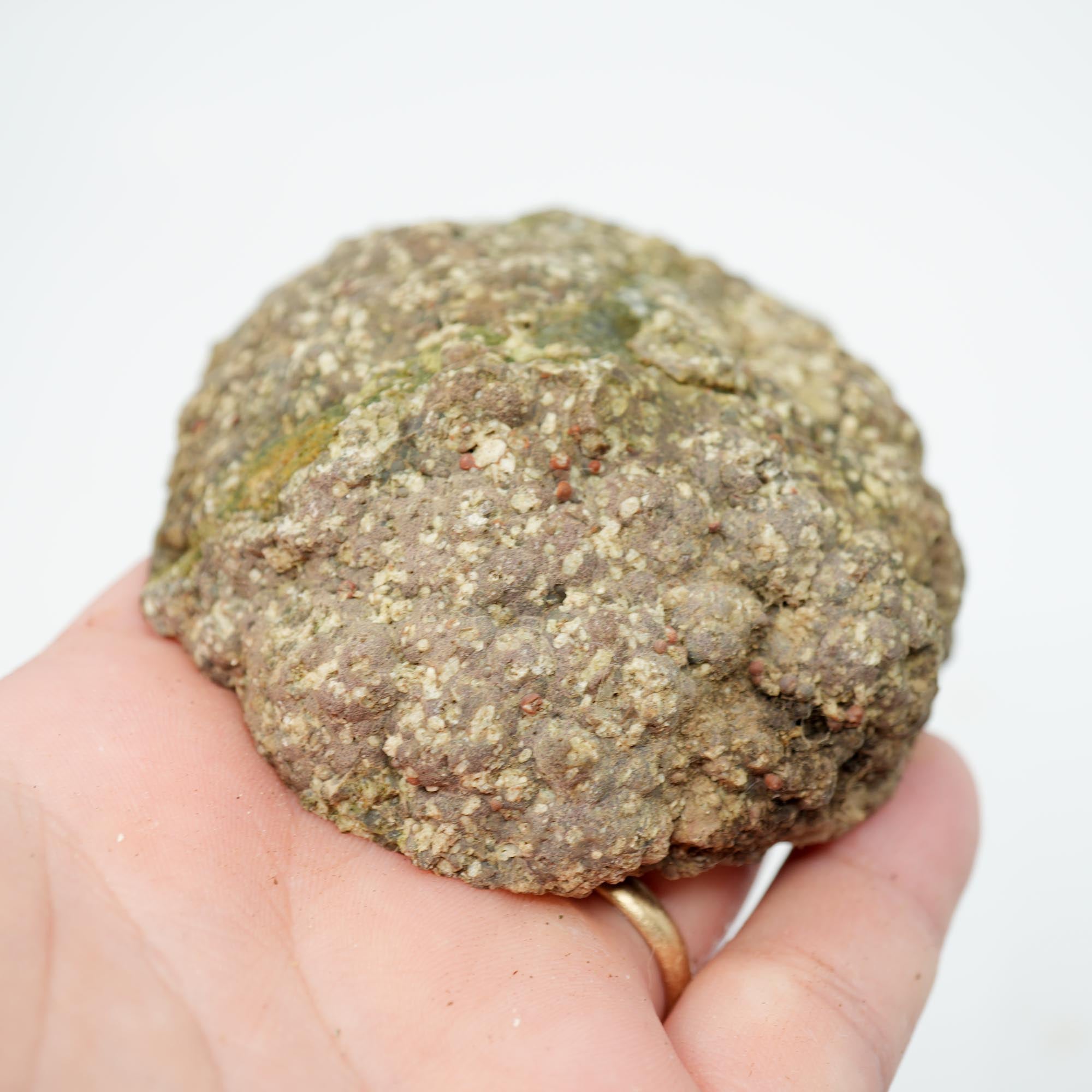 Lucky Strike Thunderegg Polished Display Specimen - Old Stock with Felt Base