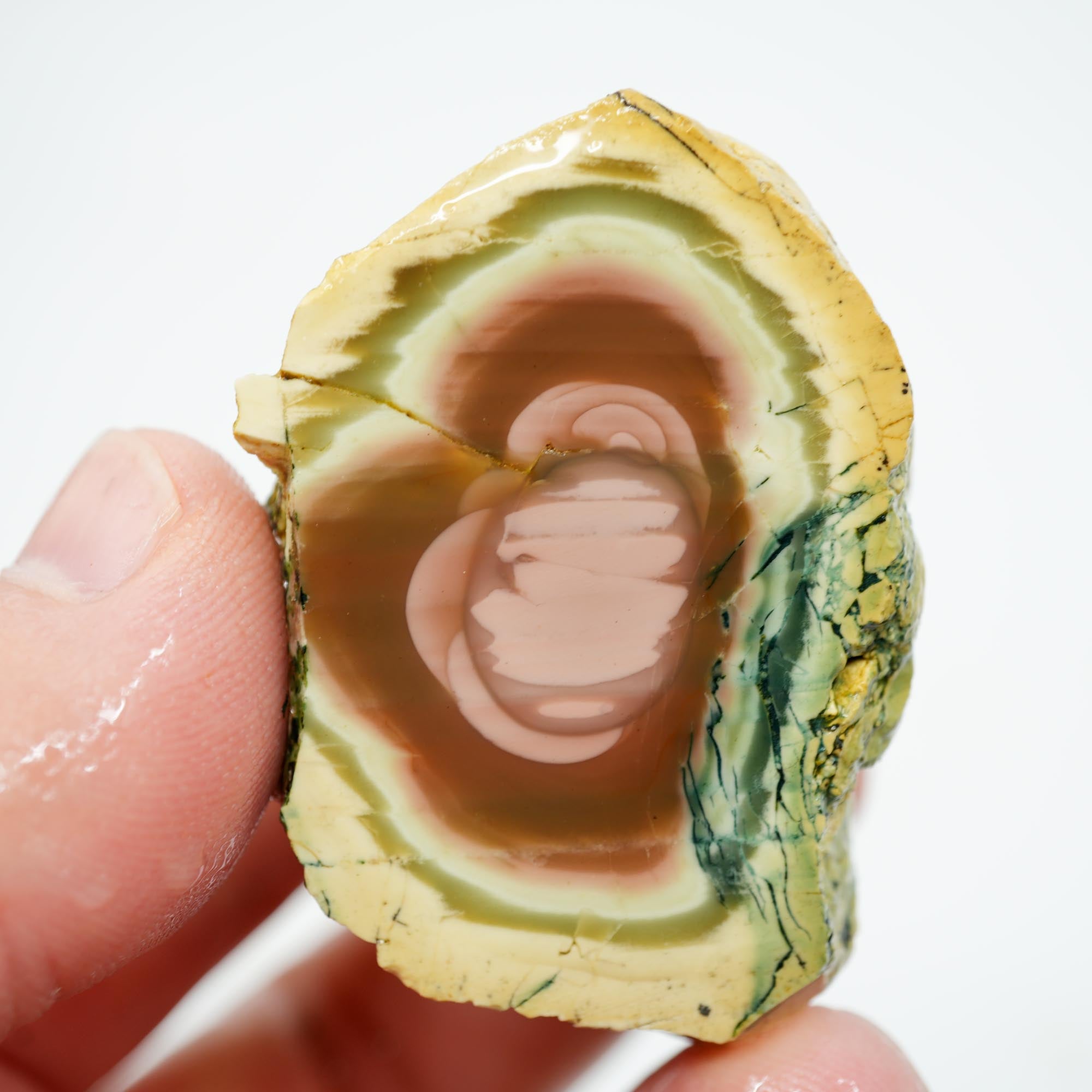 Royal Imperial Jasper Rough - Orbicular Pattern with Creamy Pink