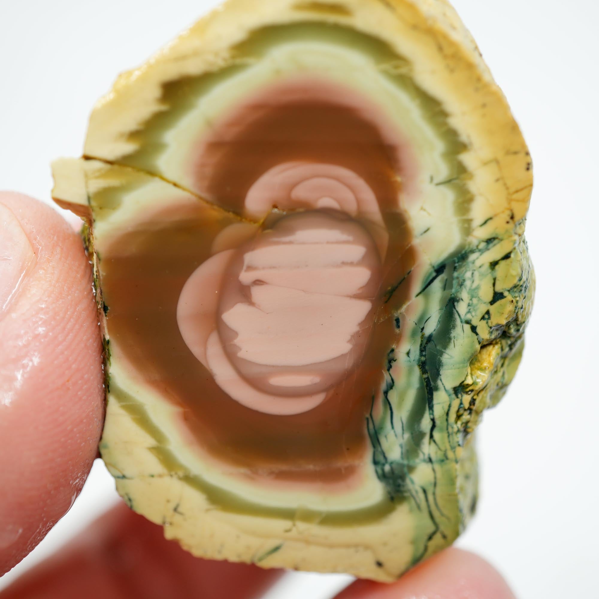 Royal Imperial Jasper Rough - Orbicular Pattern with Creamy Pink