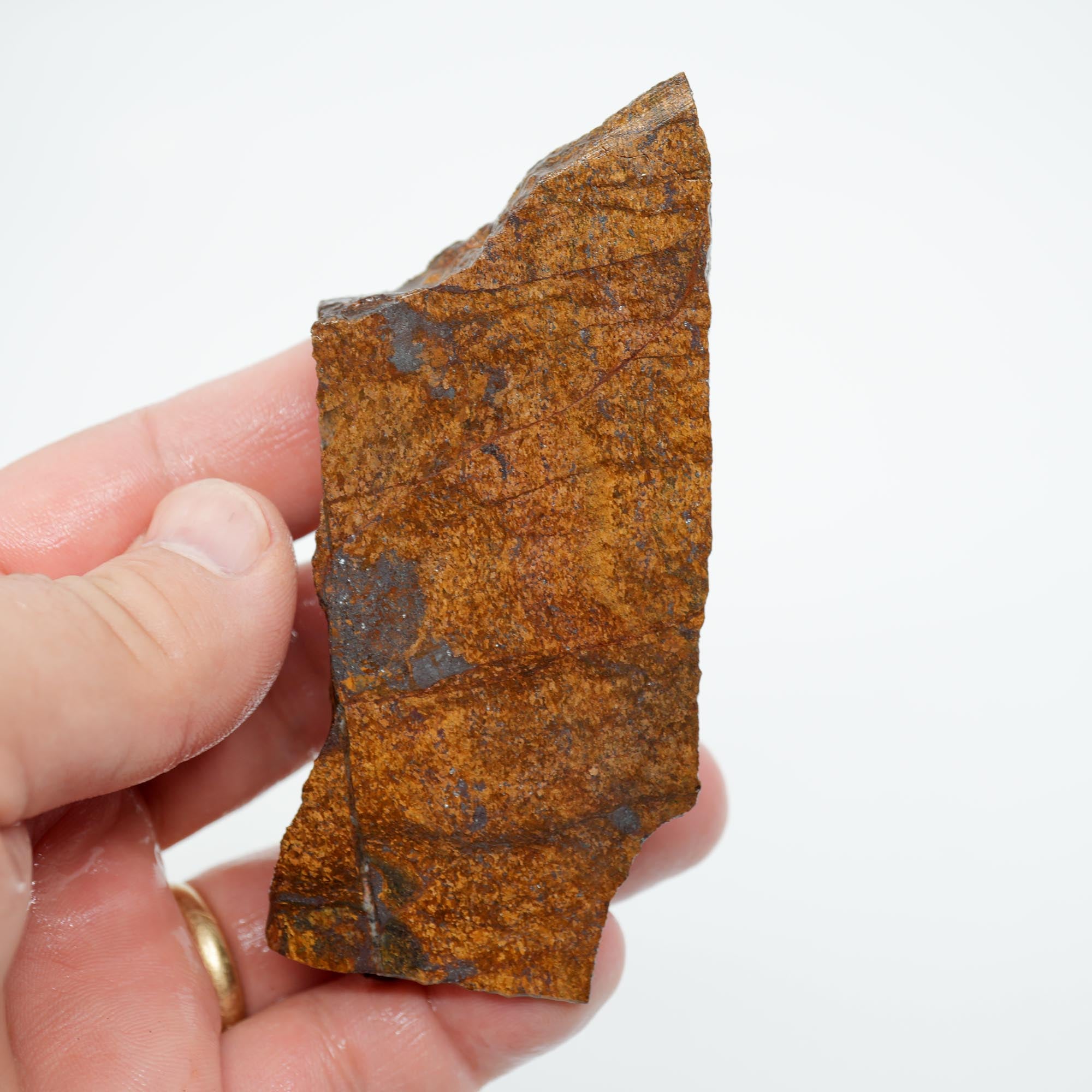 Bronzite Rough - Bronze Metallic Shimmer Display Piece