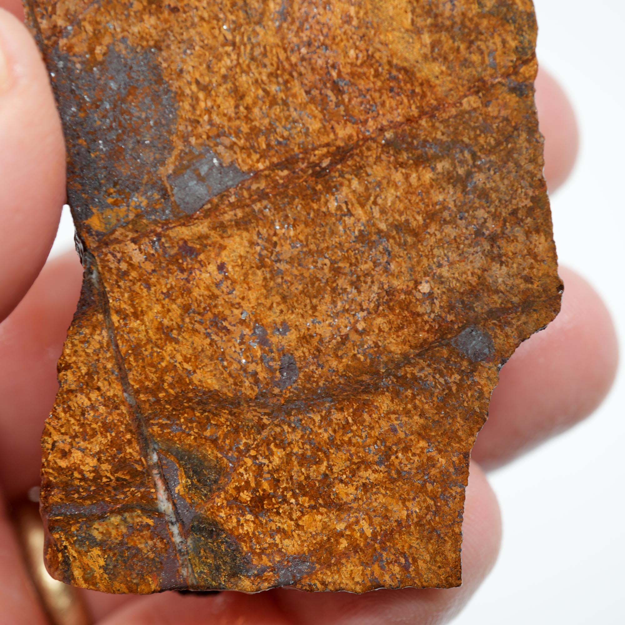 Bronzite Rough - Bronze Metallic Shimmer Display Piece