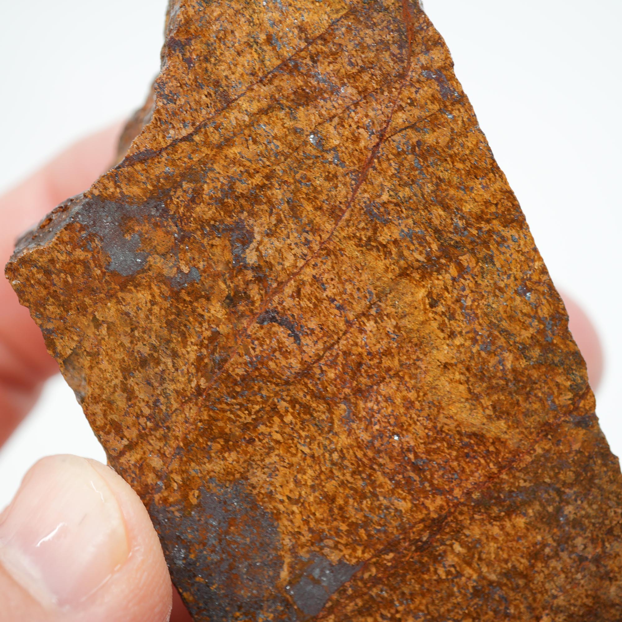 Bronzite Rough - Bronze Metallic Shimmer Display Piece