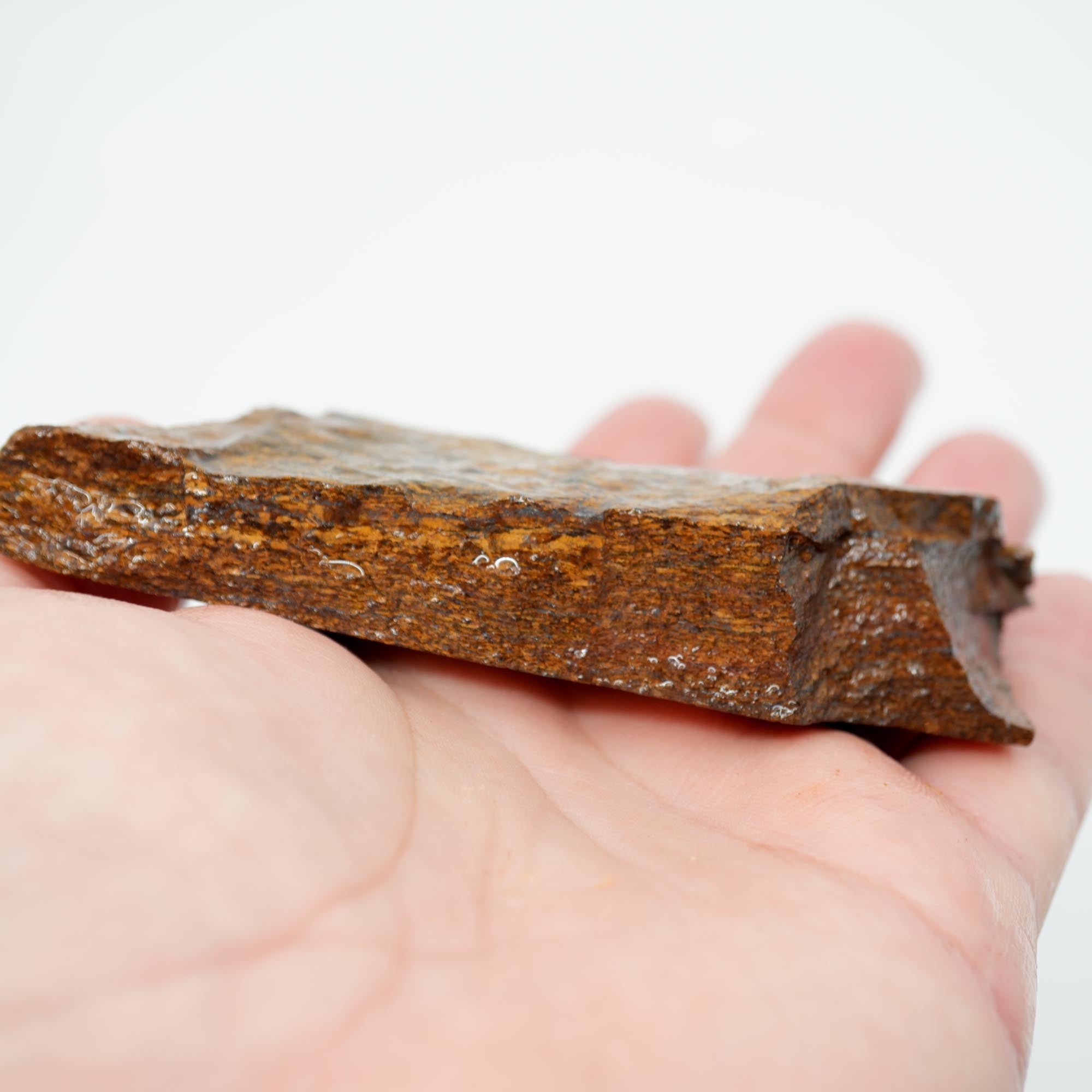 Bronzite Rough - Bronze Metallic Shimmer Display Piece