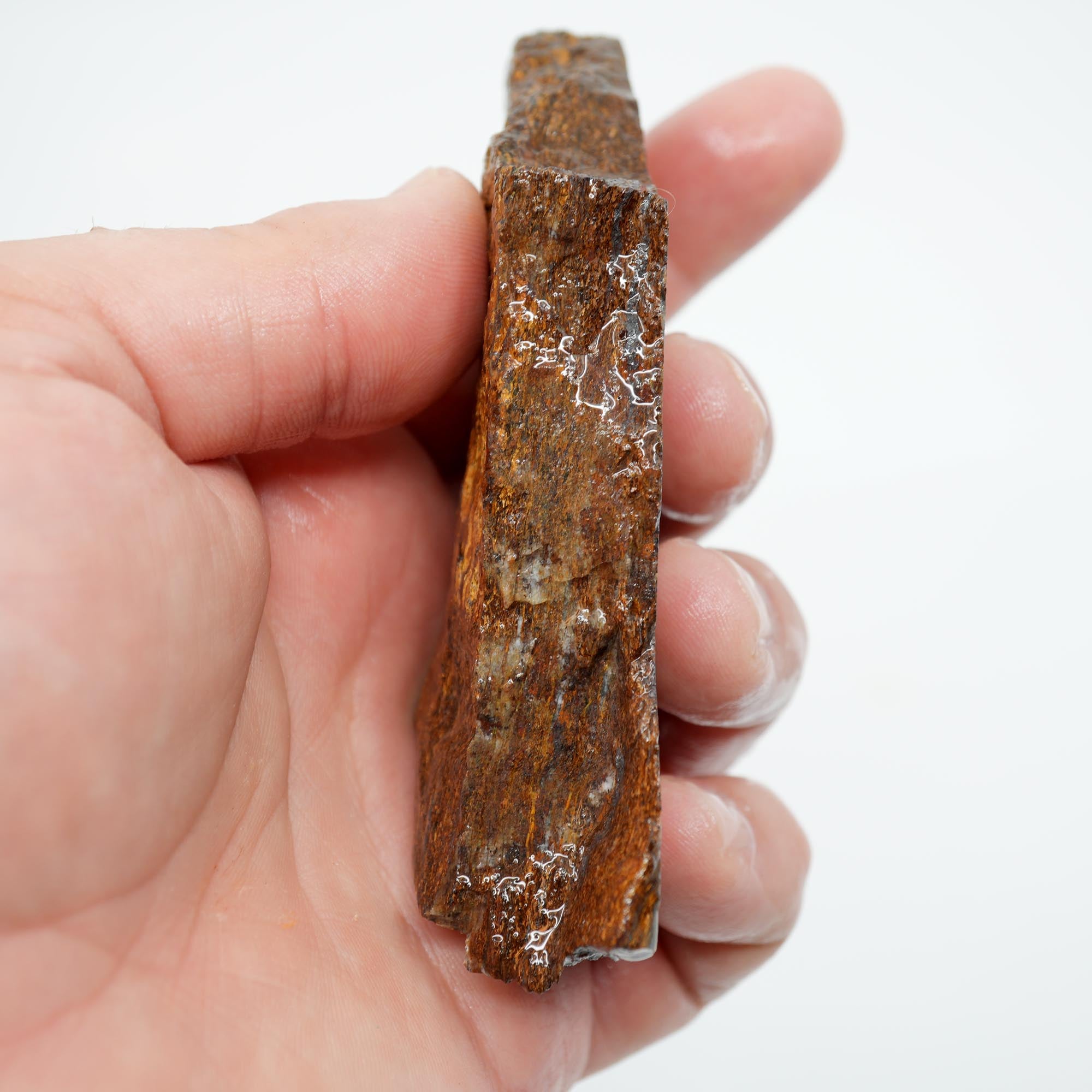 Bronzite Rough - Bronze Metallic Shimmer Display Piece