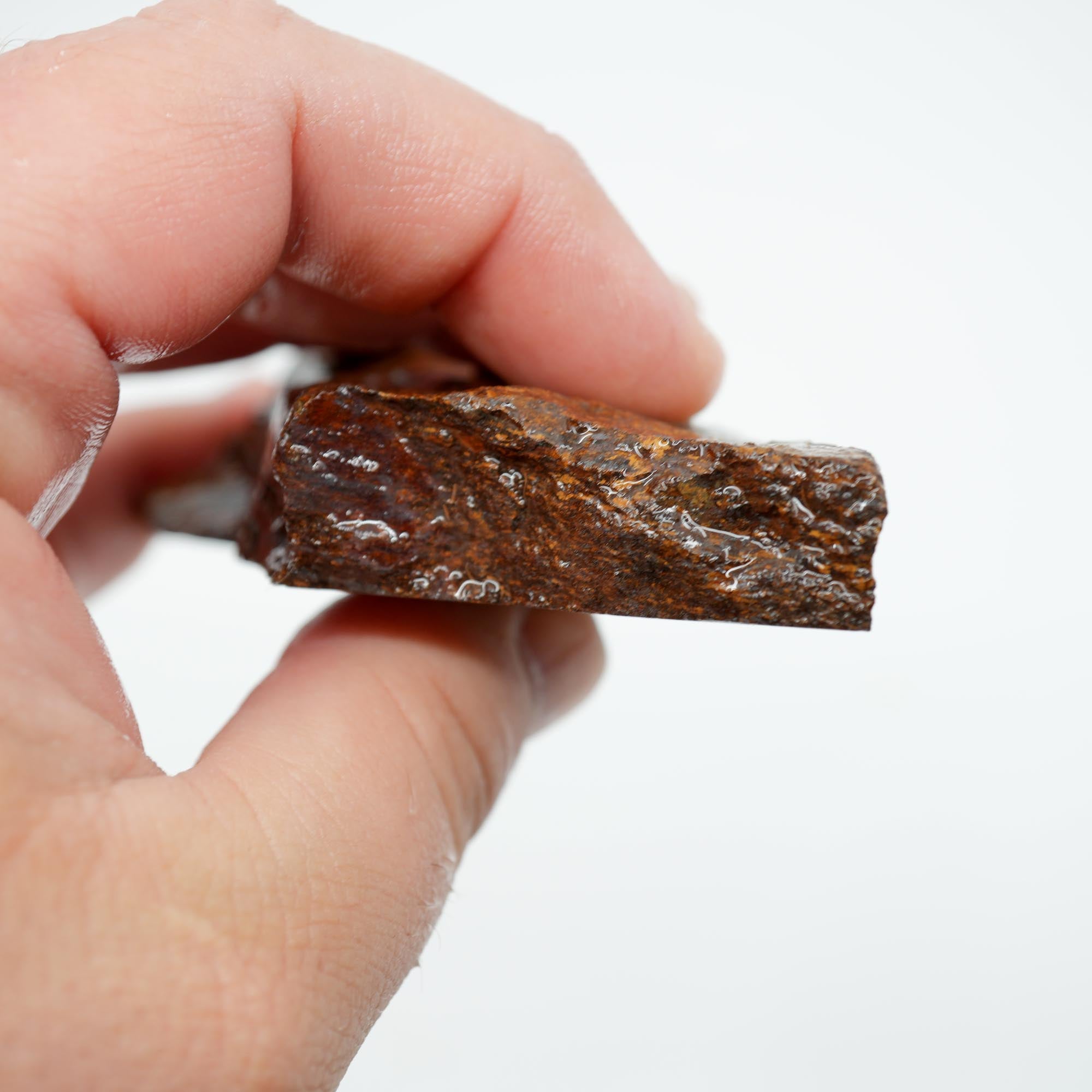 Bronzite Rough - Bronze Metallic Shimmer Display Piece