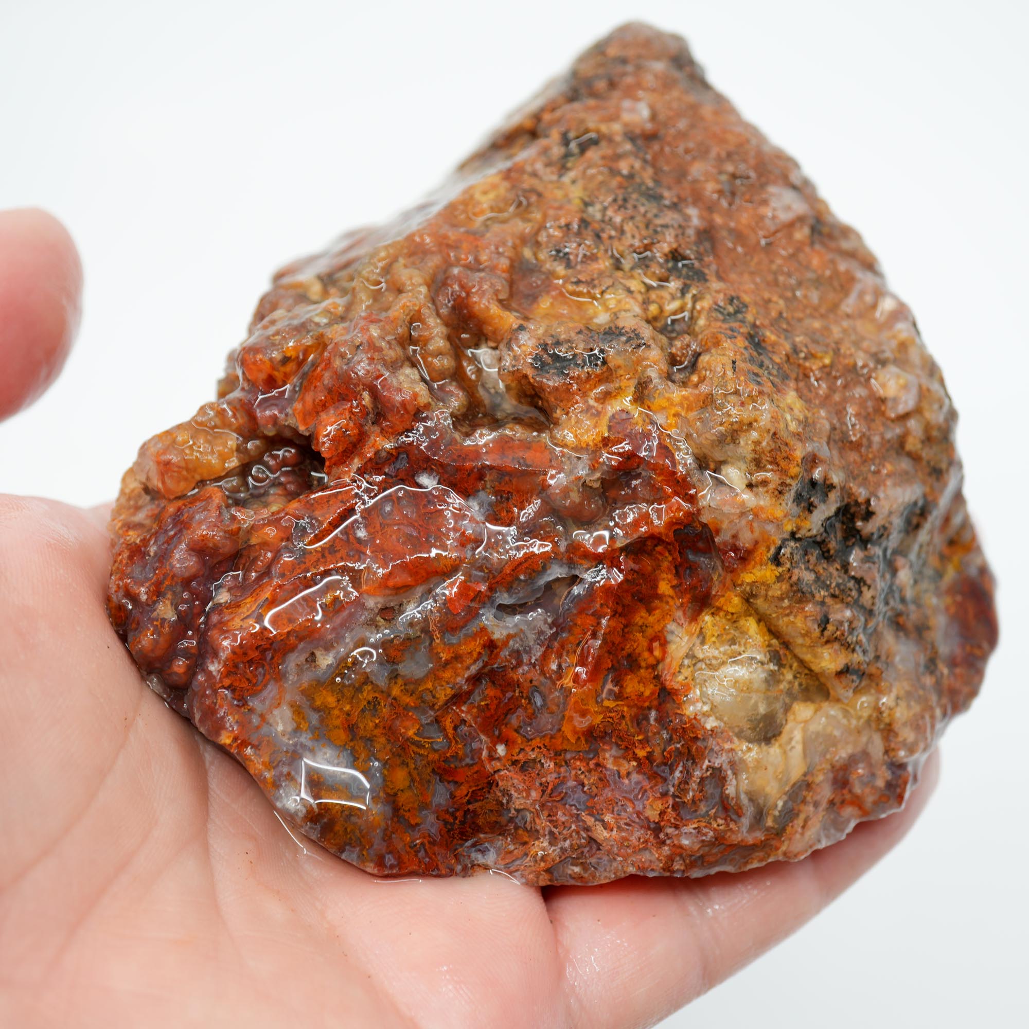 San Carlos Agate Rough - Bright Red Orange Moss with Blue Ice Botryoidal