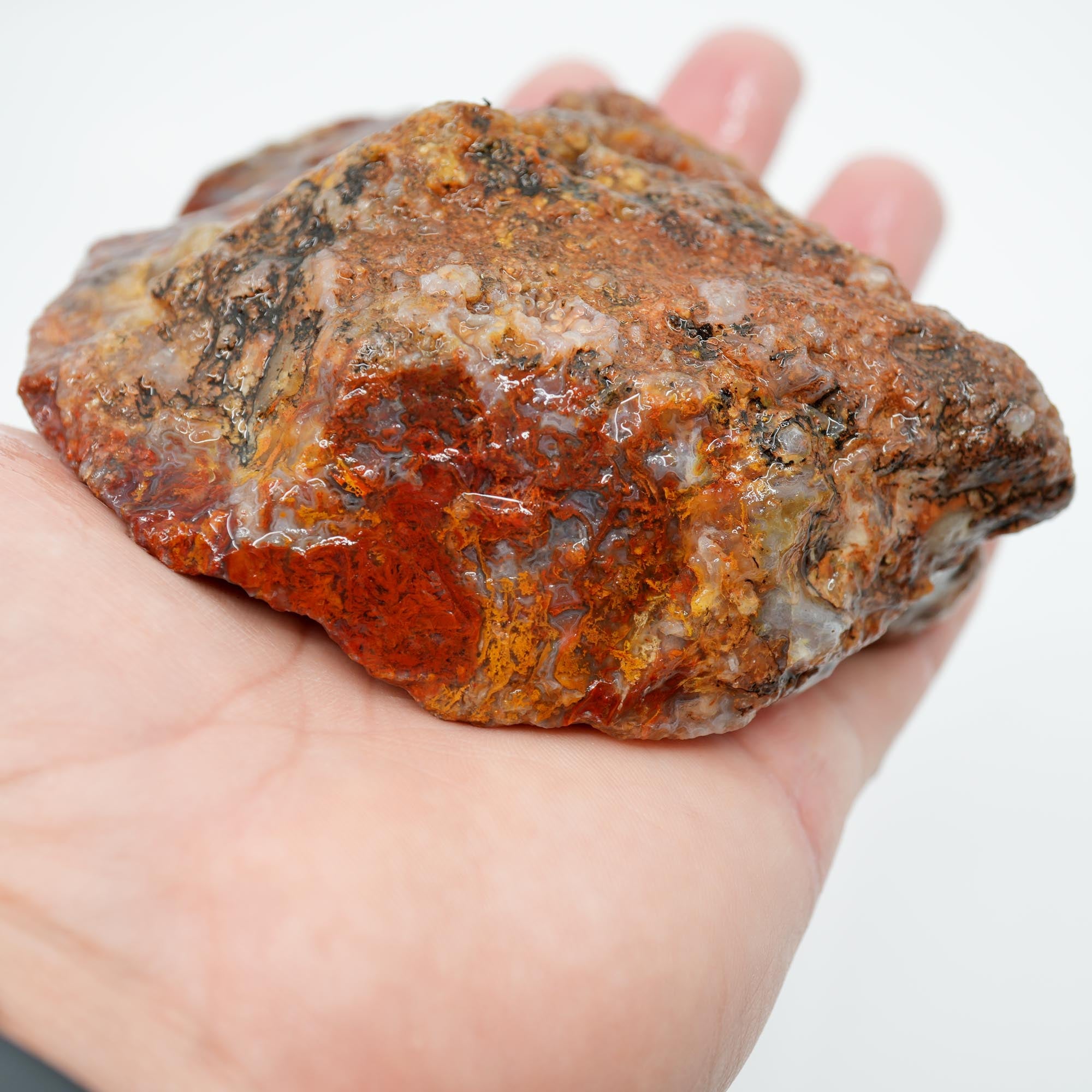 San Carlos Agate Rough - Bright Red Orange Moss with Blue Ice Botryoidal
