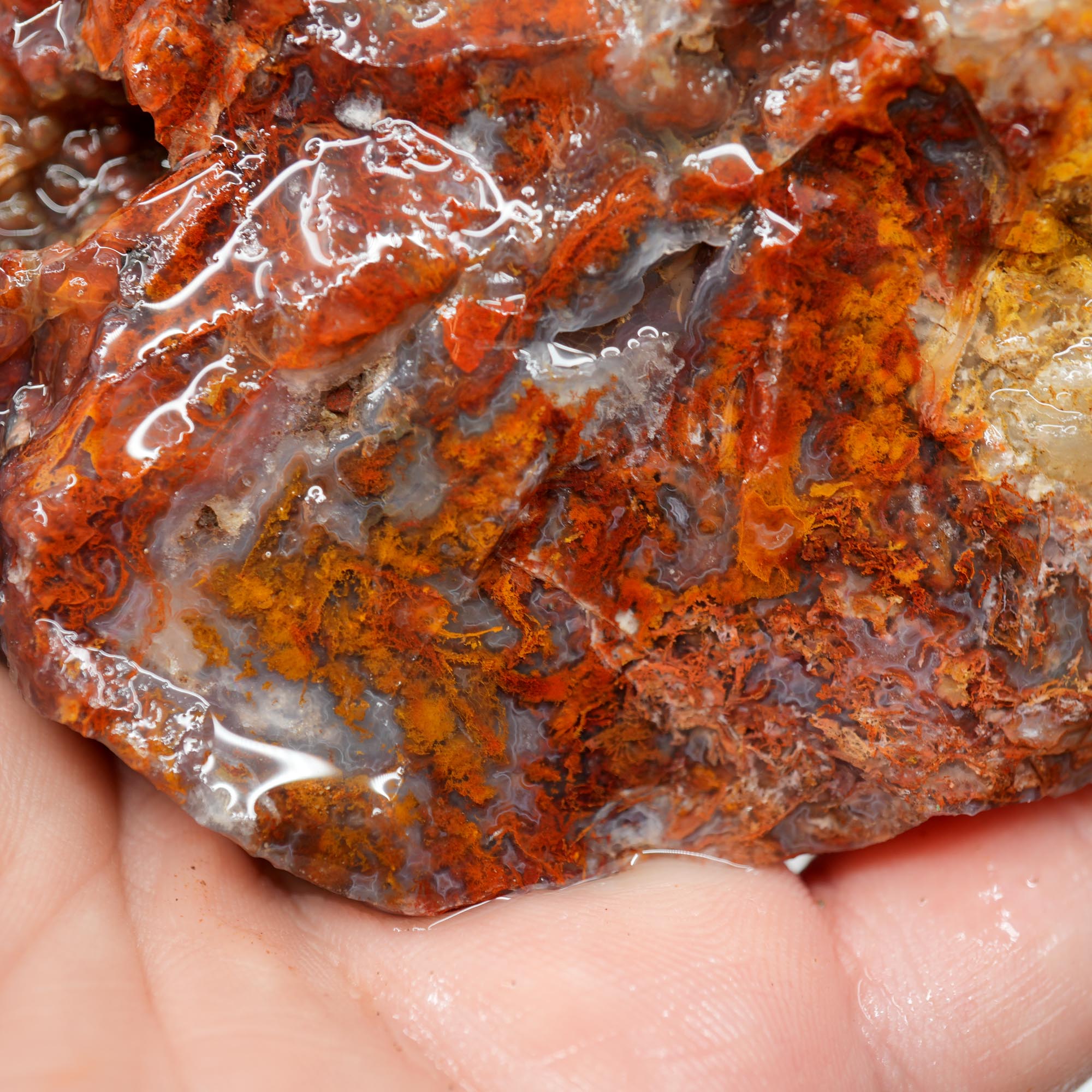 San Carlos Agate Rough - Bright Red Orange Moss with Blue Ice Botryoidal