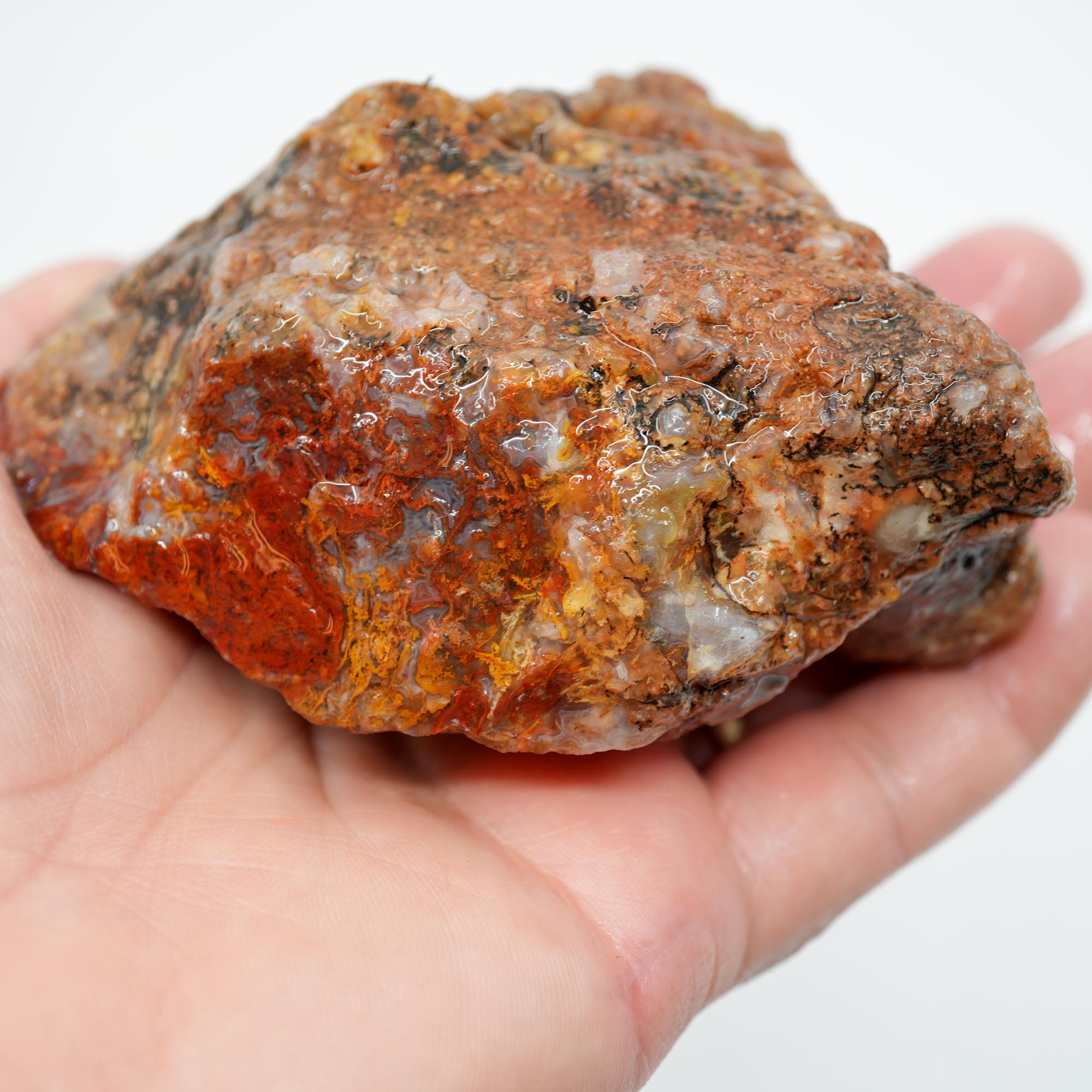 San Carlos Agate Rough - Bright Red Orange Moss with Blue Ice Botryoidal