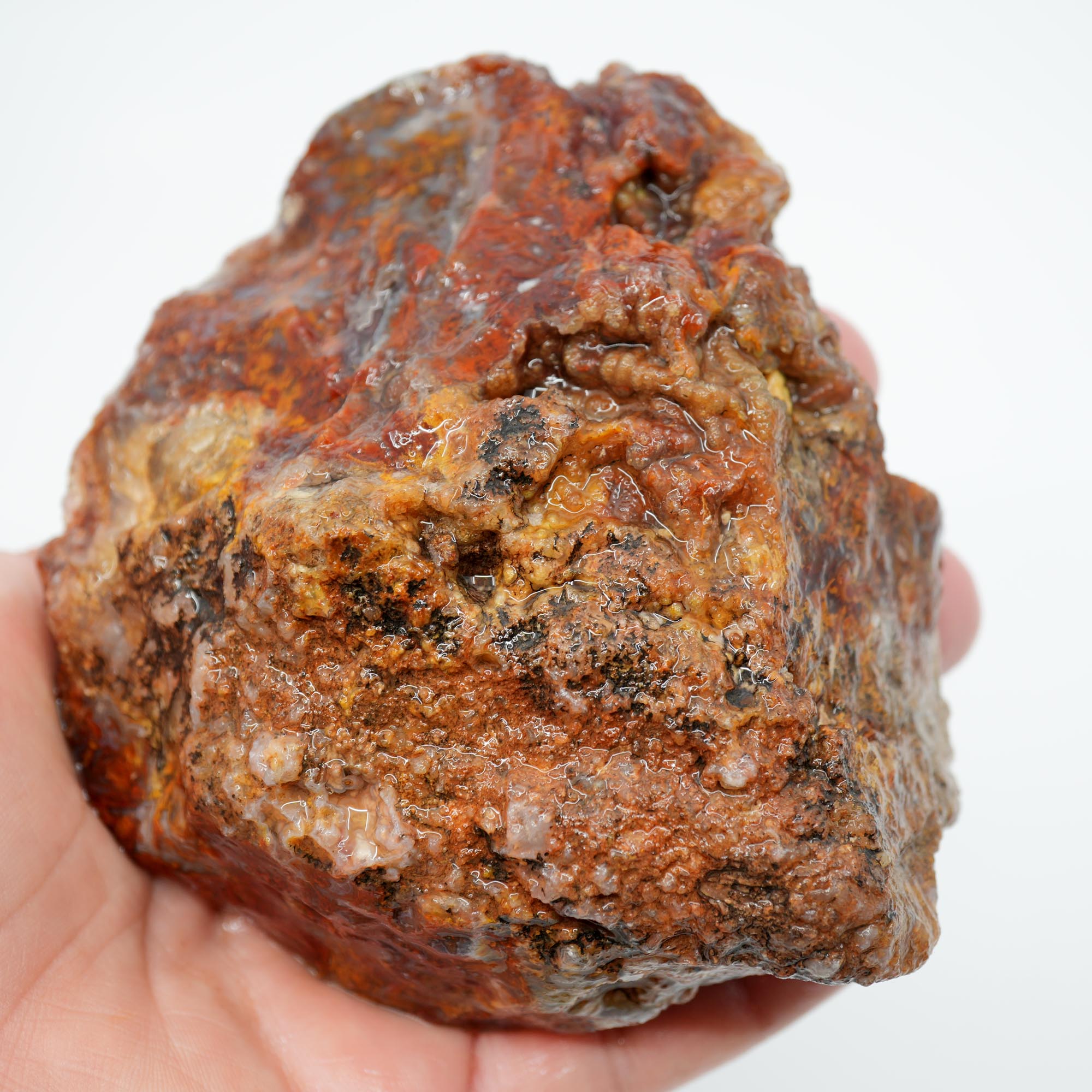 San Carlos Agate Rough - Bright Red Orange Moss with Blue Ice Botryoidal